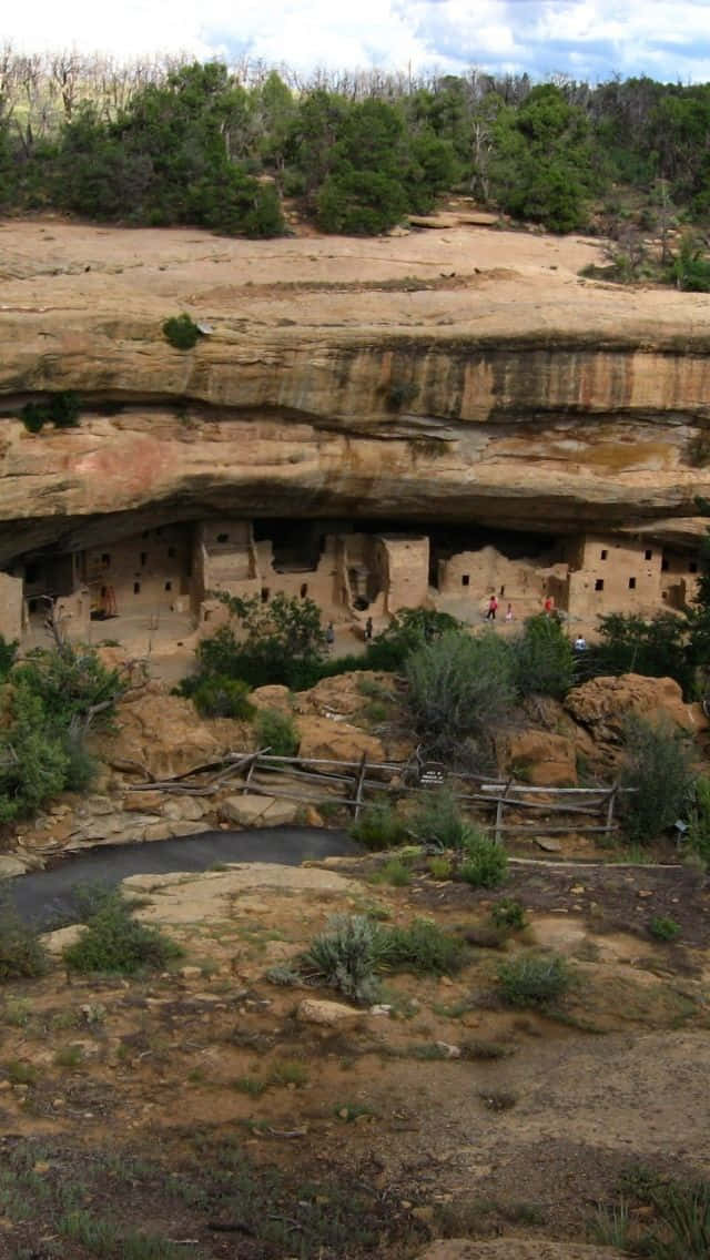 Majestic Puebloan Cliff Palace At Mesa Verde National Park Background