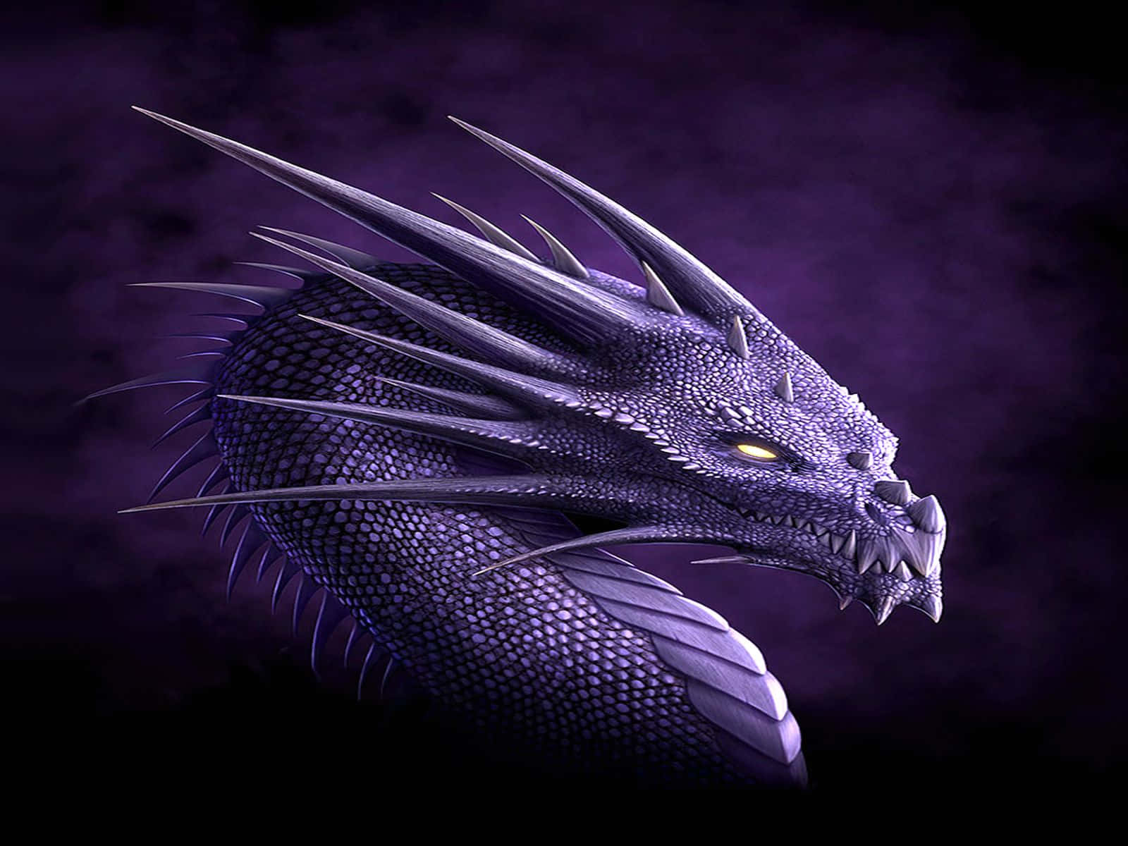 Majestic Purple Dragon Background