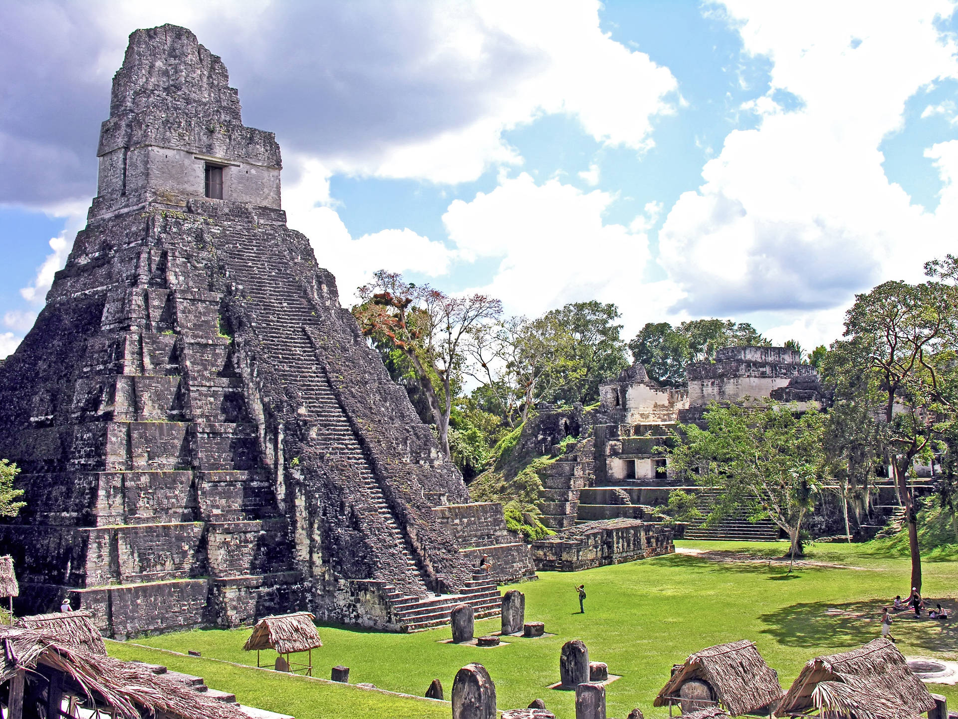 Majestic Pyramid Of Tikal Amidst The Green Jungle Background