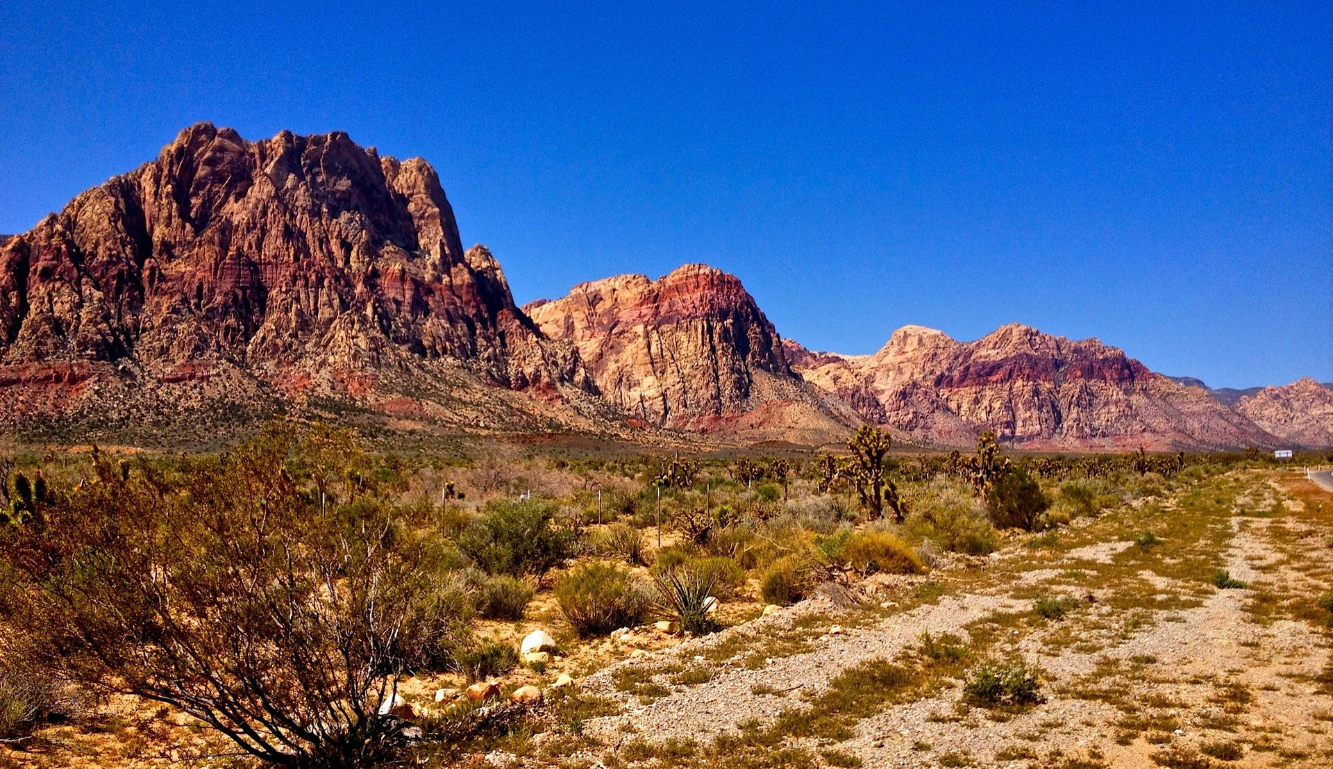 Majestic Red Rock Formations Amidst Desert Greenery