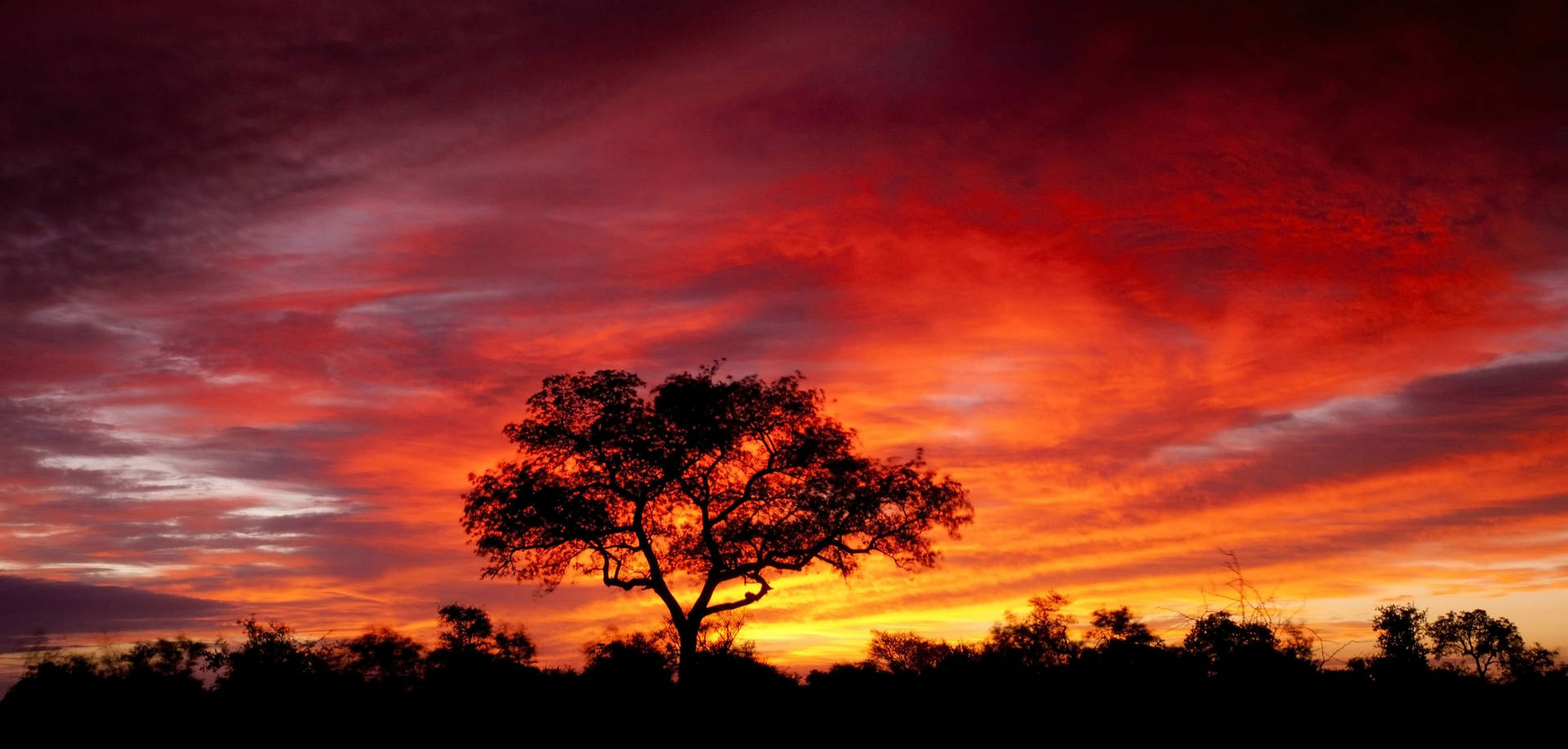 Majestic Red Sunset Over The African Savannah
