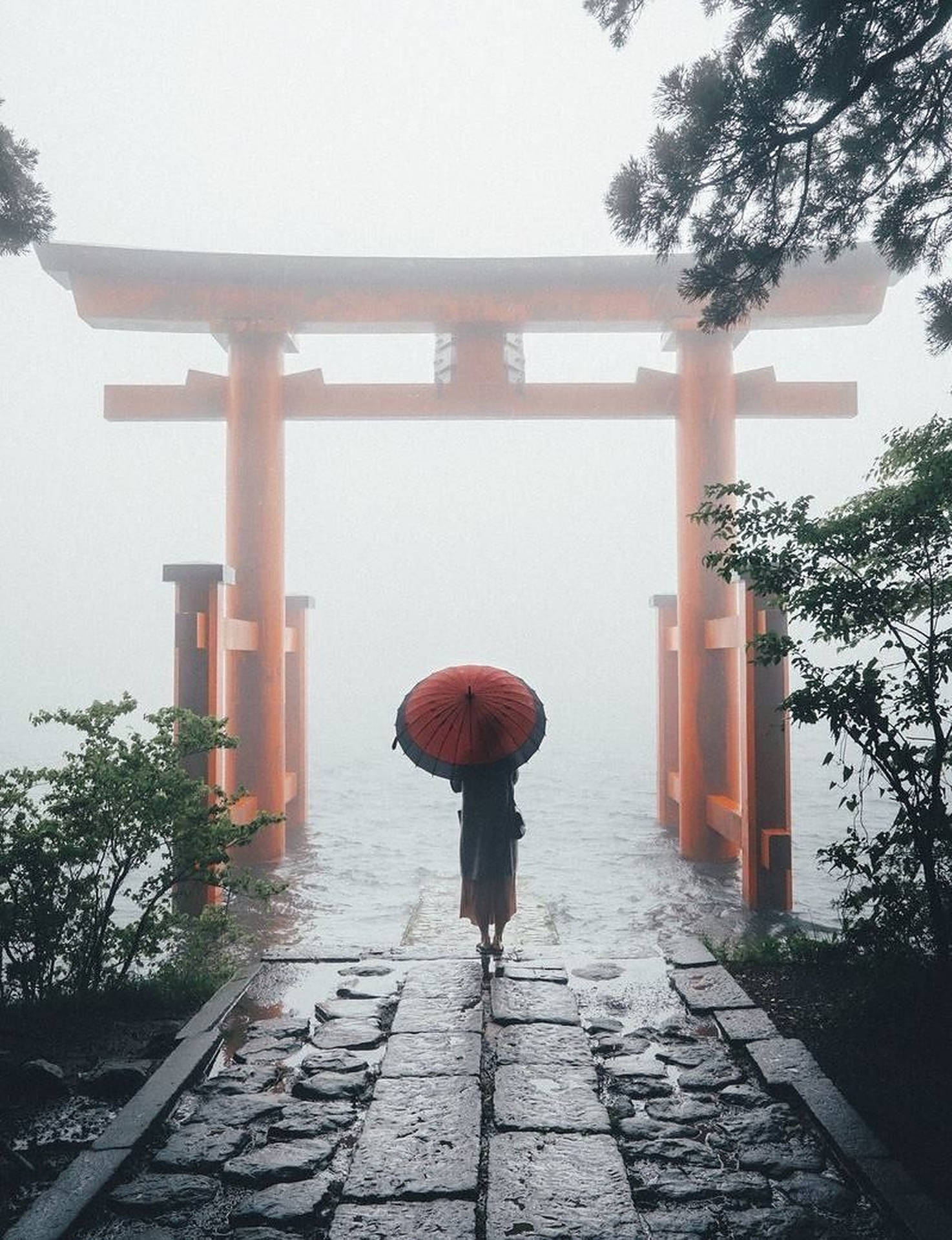 Majestic Red Torii Gate Amidst The Fog Background