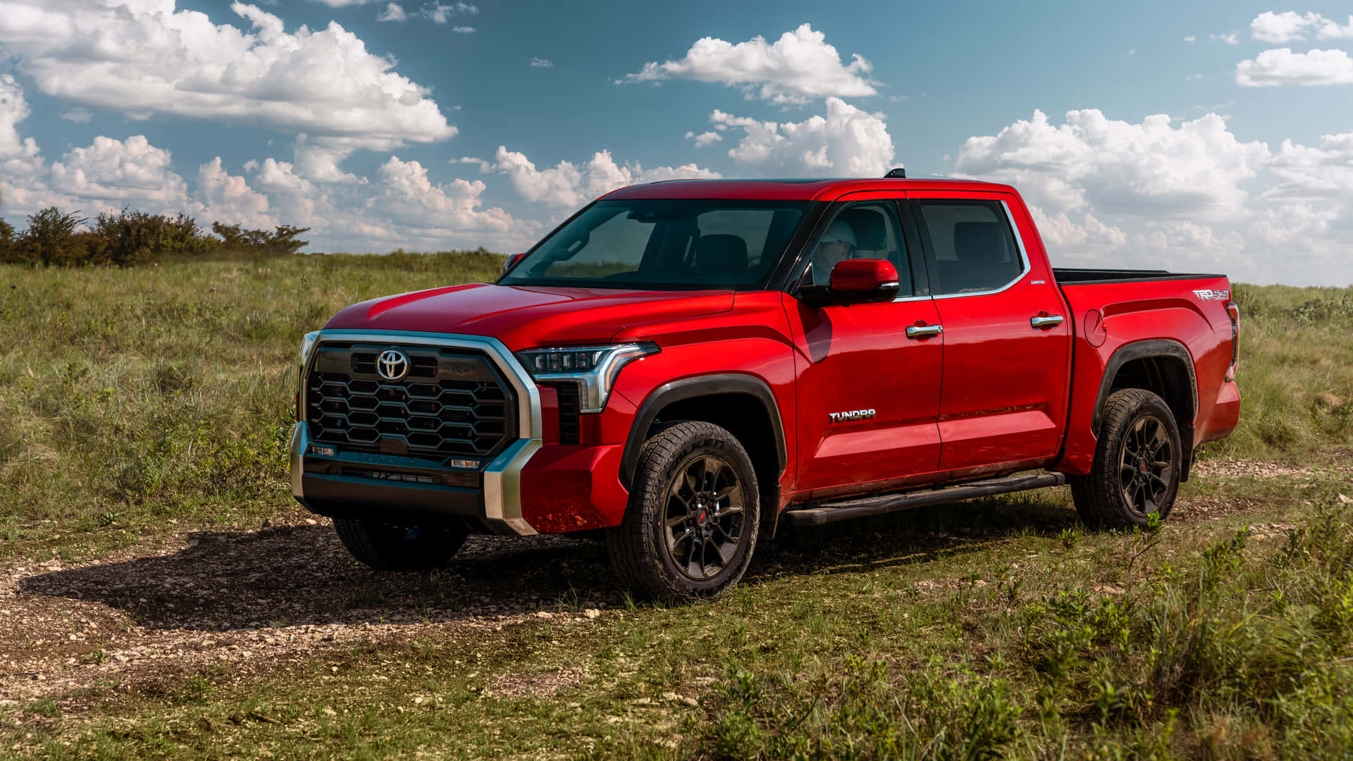 Majestic Red Tundra Landscape