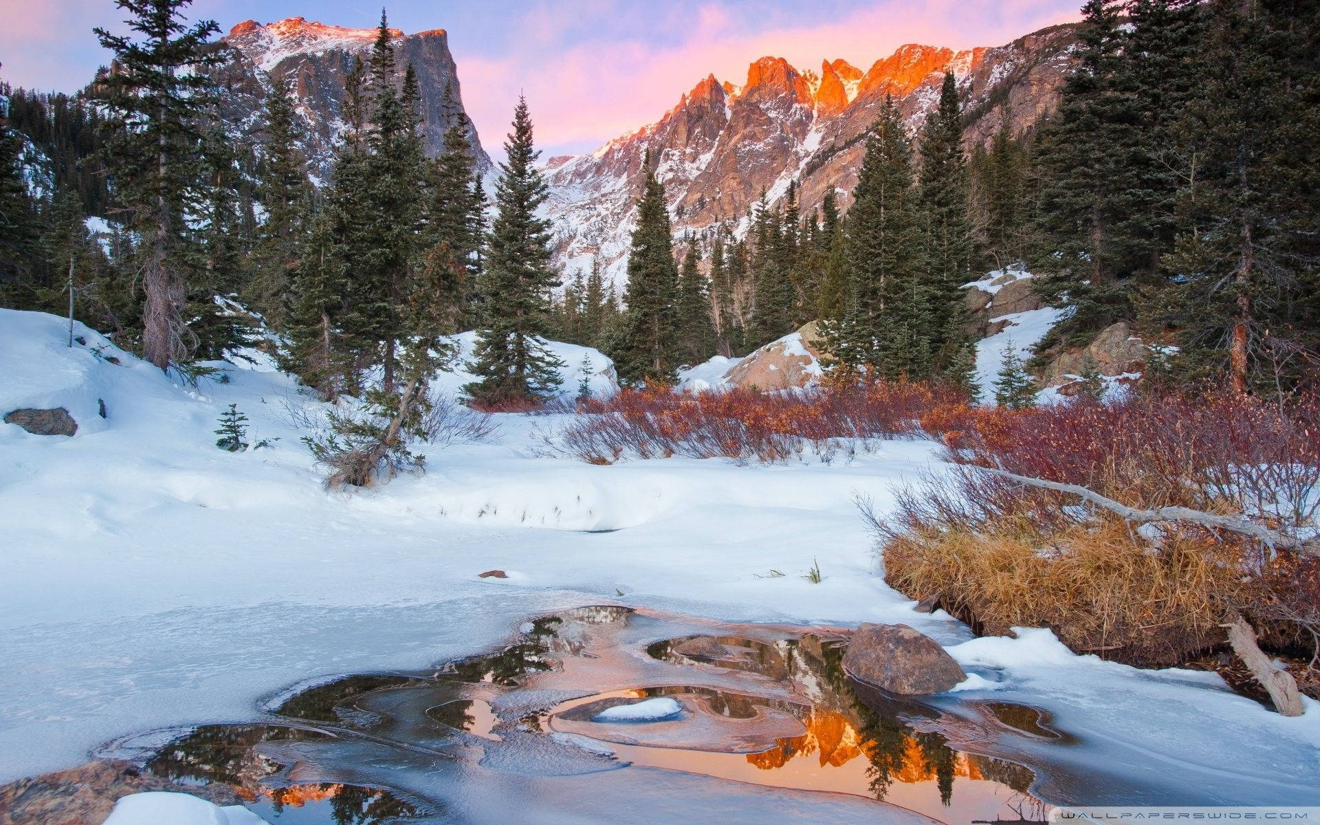 Majestic Rocky Mountain National Park In Full Bloom