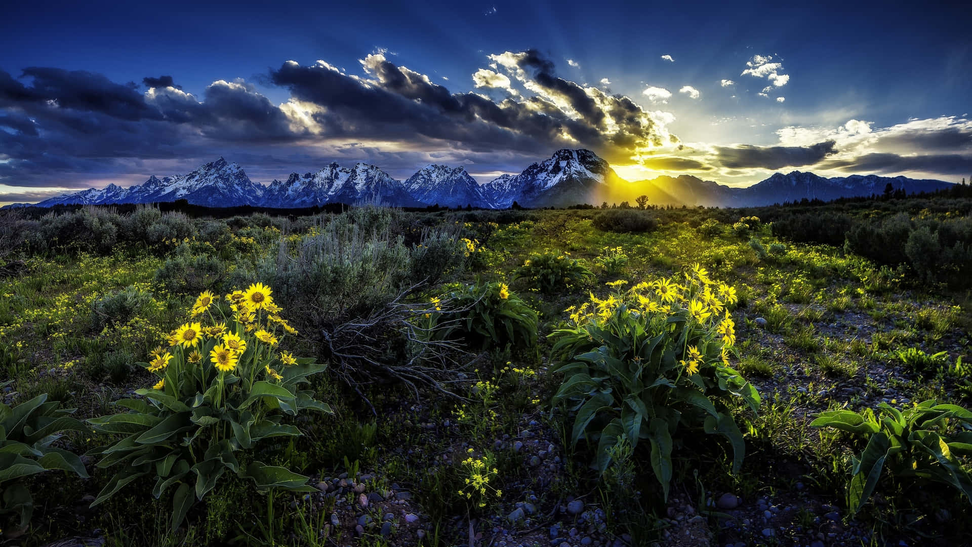 Majestic Rocky Mountains In Grand Teton National Park Background