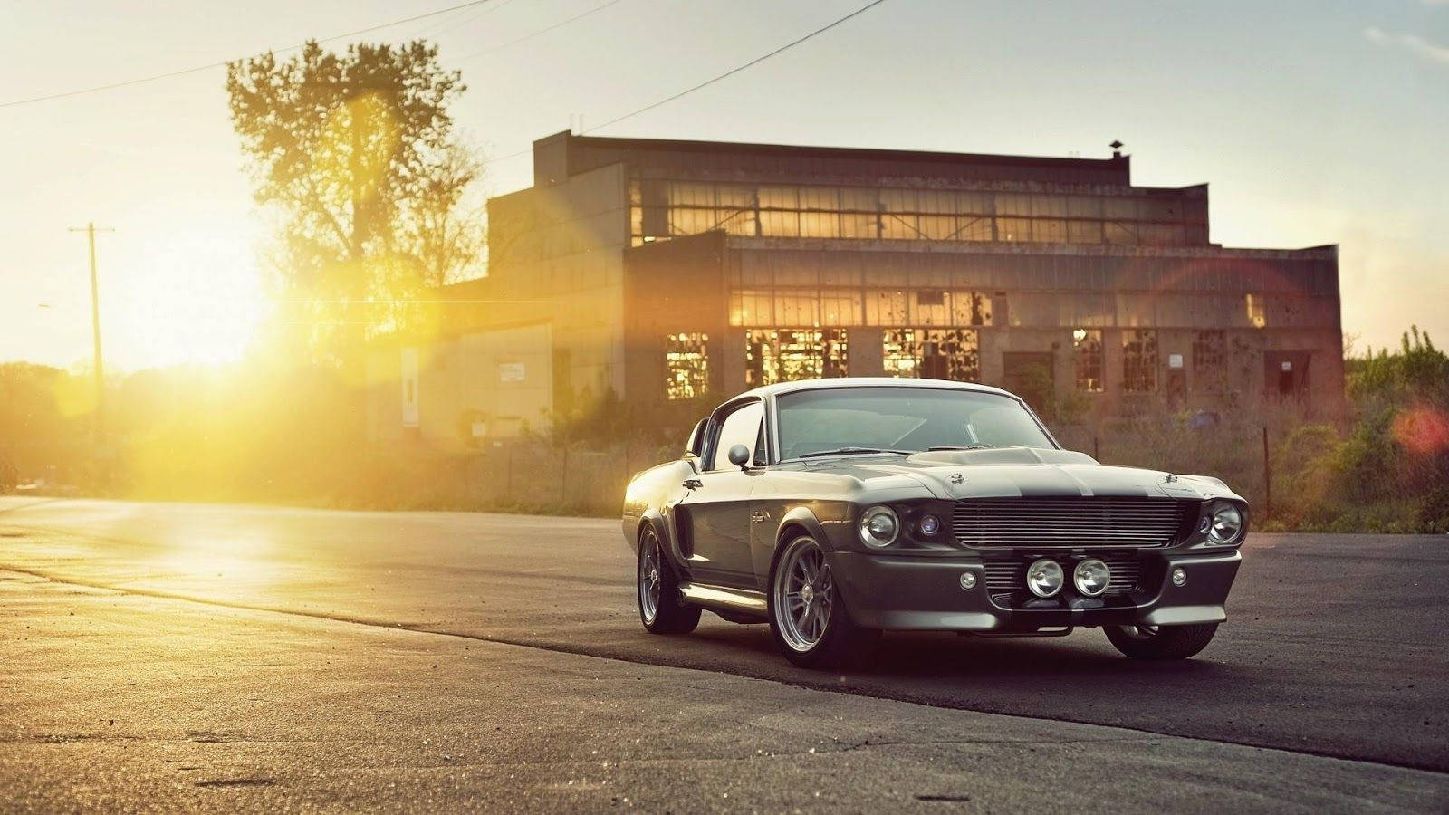 Majestic Shelby Mustang Muscle Car At Sunset Background