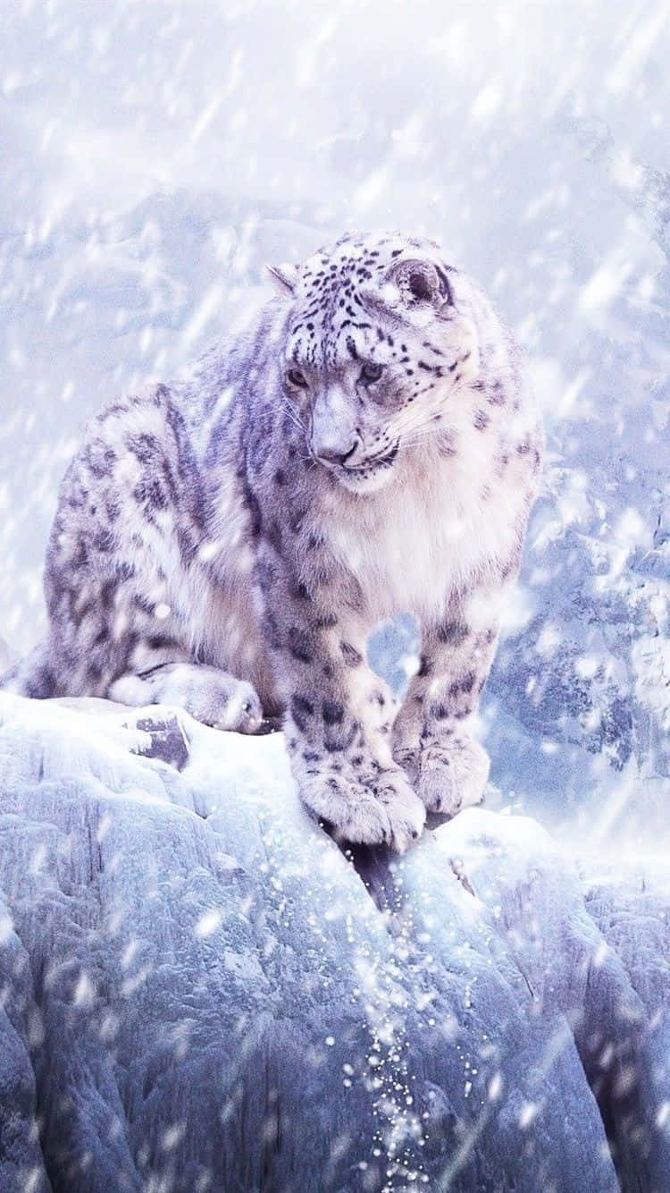 Majestic Snow Leopard Roaming In The Foothills Of The Himalayas Background