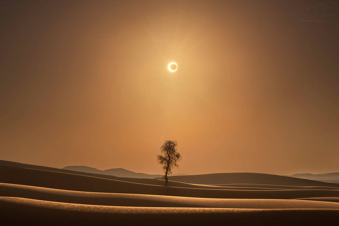 Majestic Solar Eclipse Igniting The Desert Sky Background