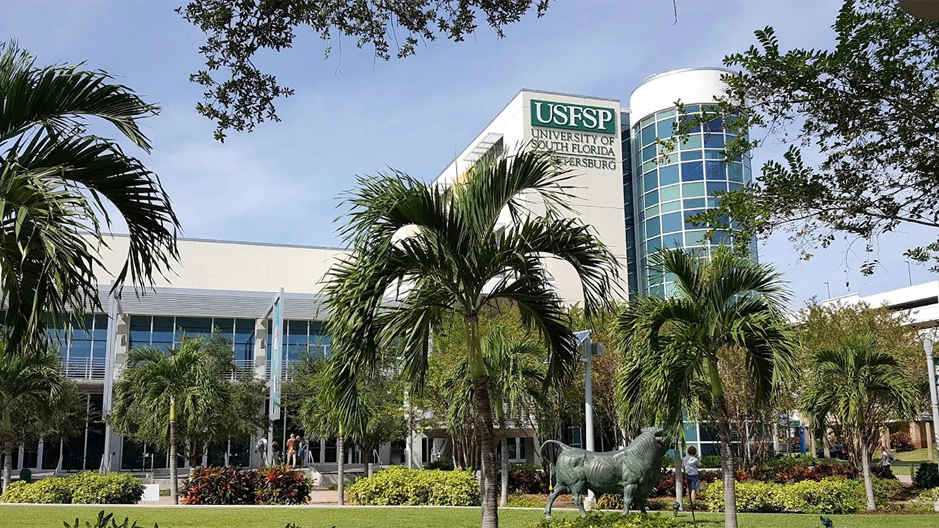 Majestic Structure At The University Of South Florida St. Petersburg Background