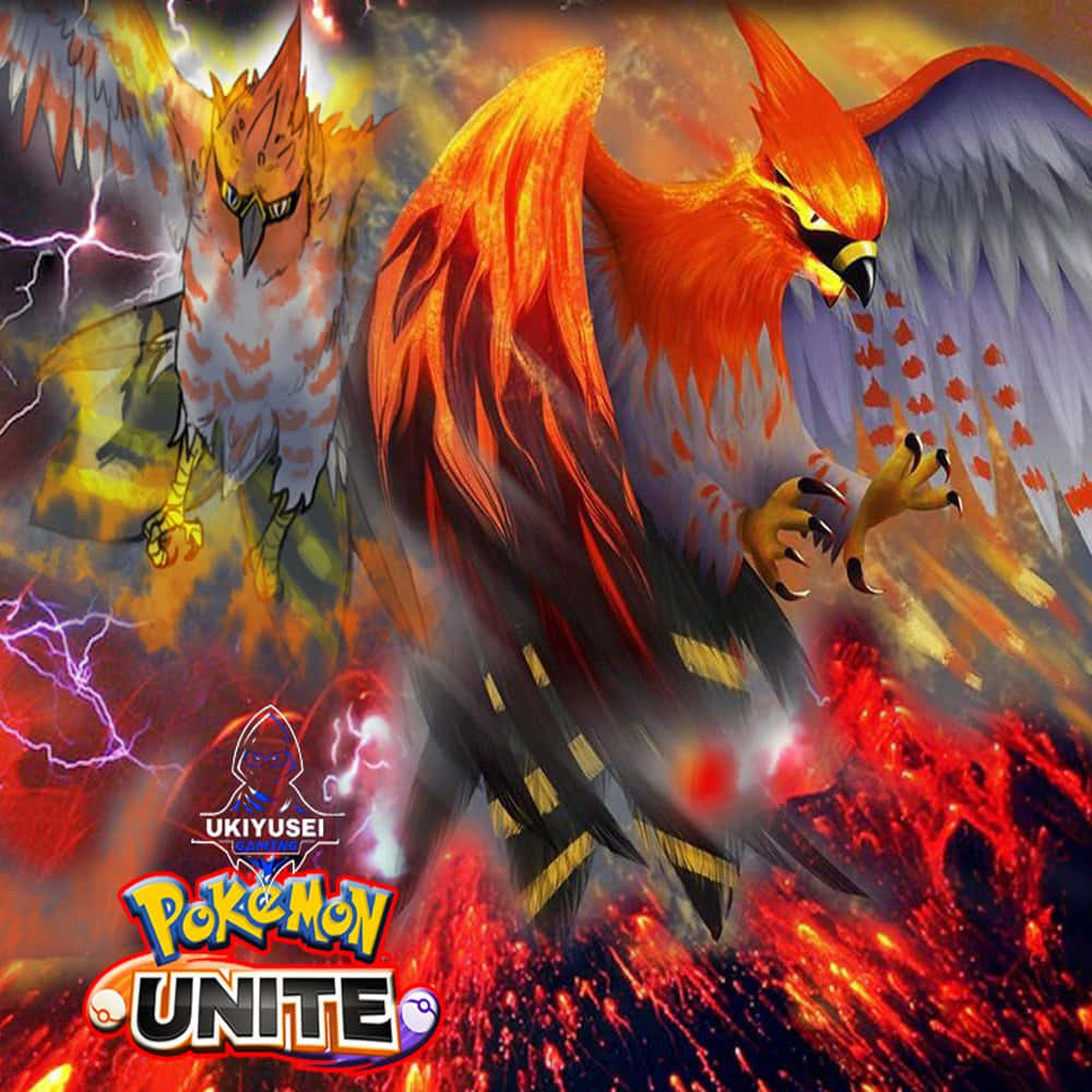 Majestic Talonflame In Flight