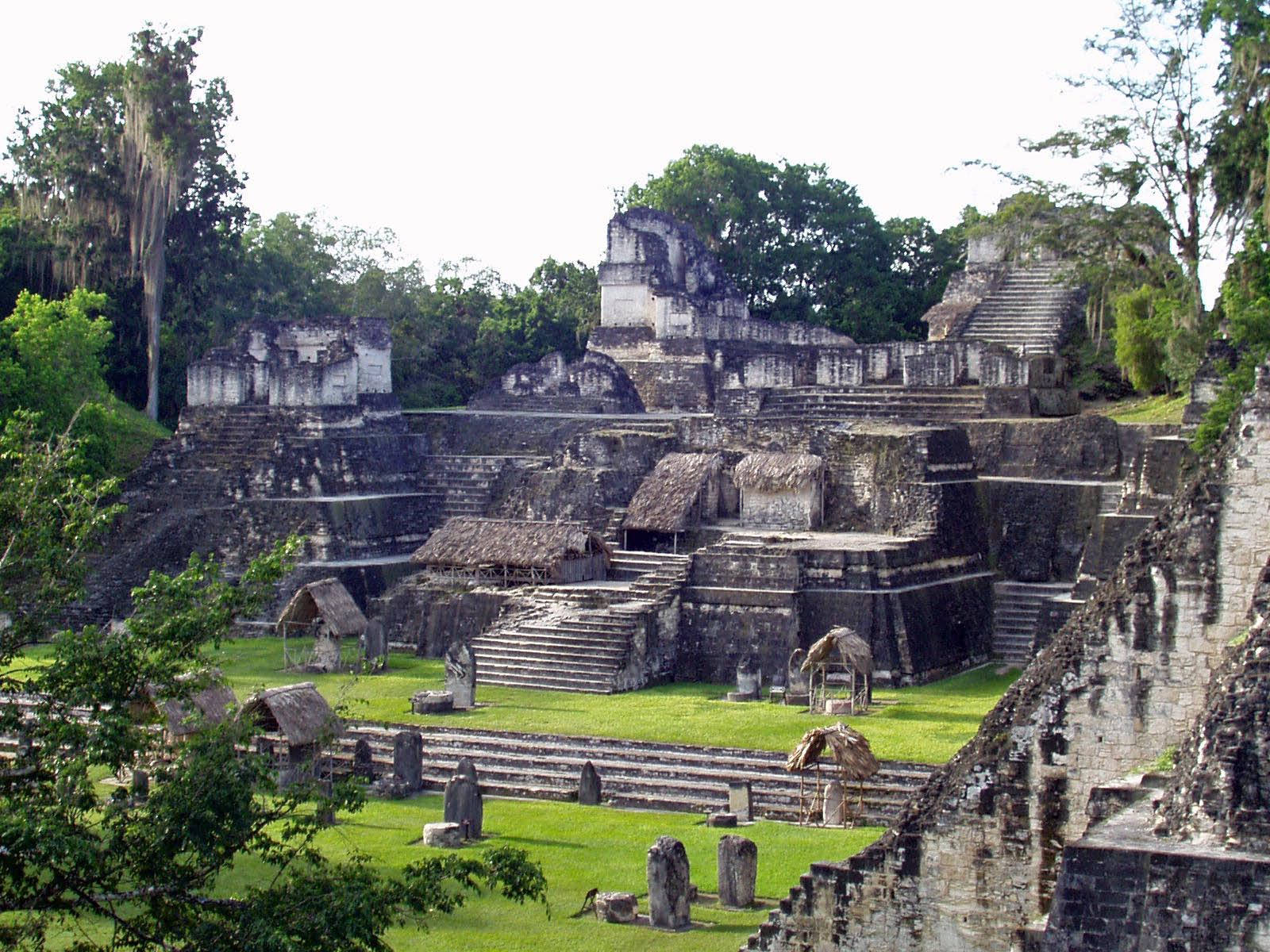 Majestic Tikal: A Panoramic View Of Mayan Ruins Background