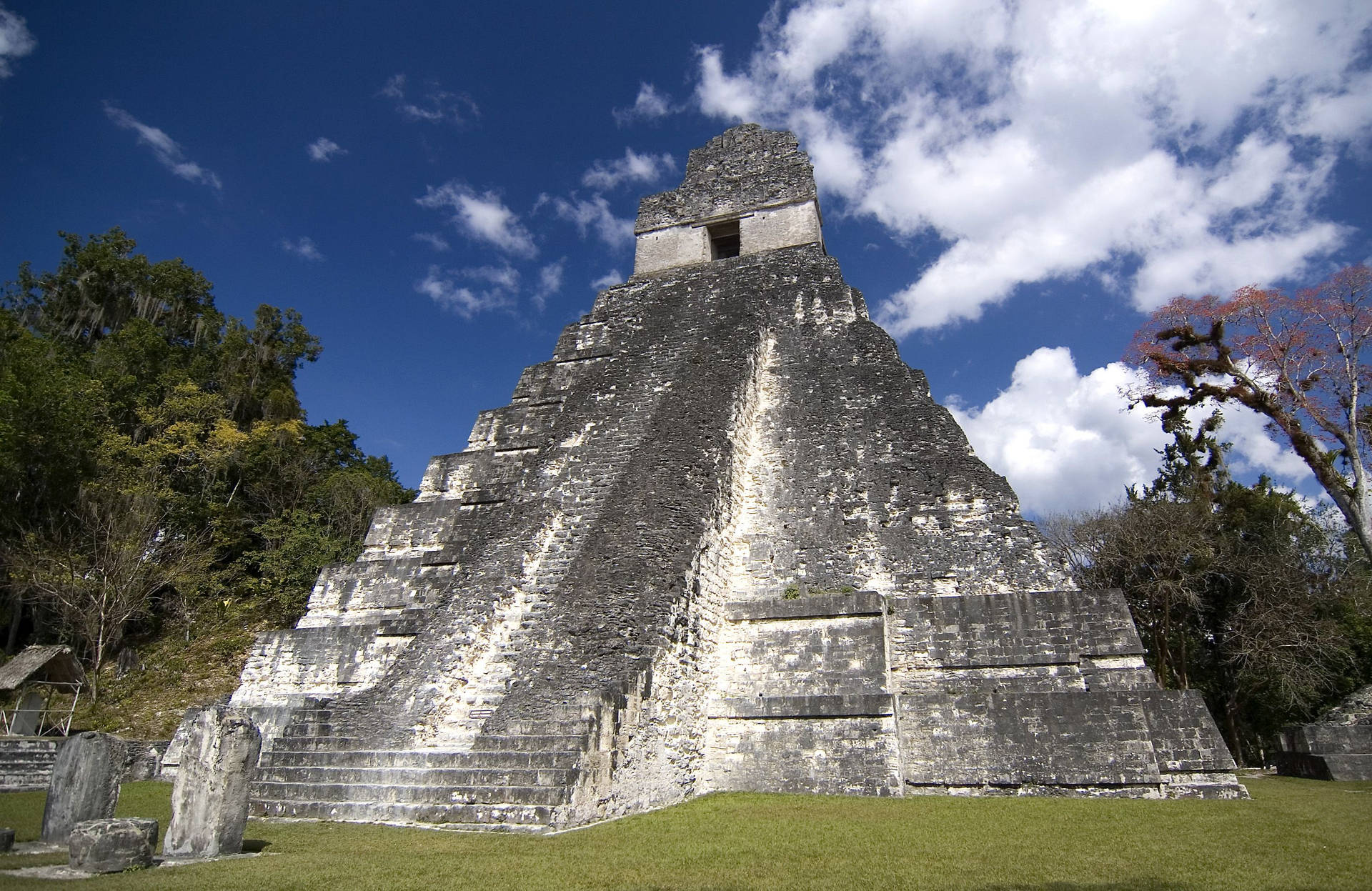 Majestic Tikal Pyramid Amidst The Jungle Background