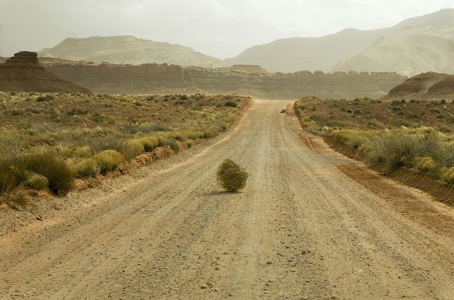 Majestic Tumbleweed In Open Desert Background