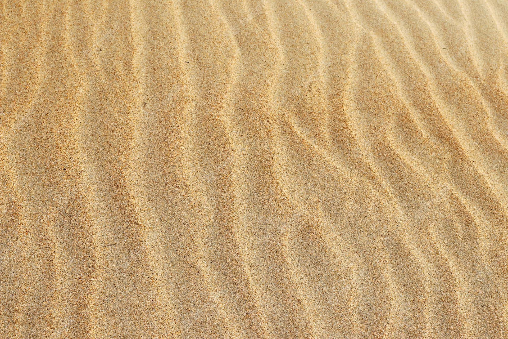 Majestic View Of A Sandy Beach At Twilight Background