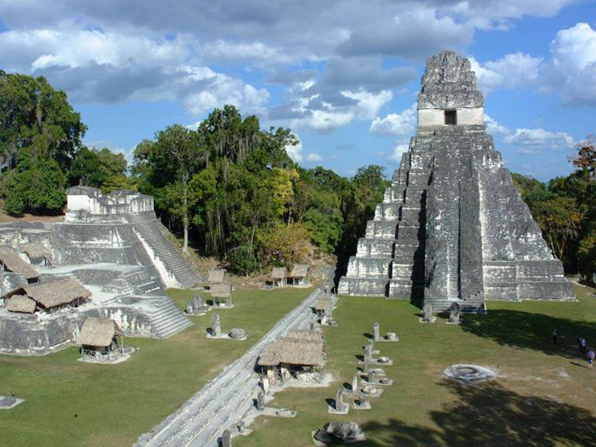 Majestic View Of Ancient Tikal Background