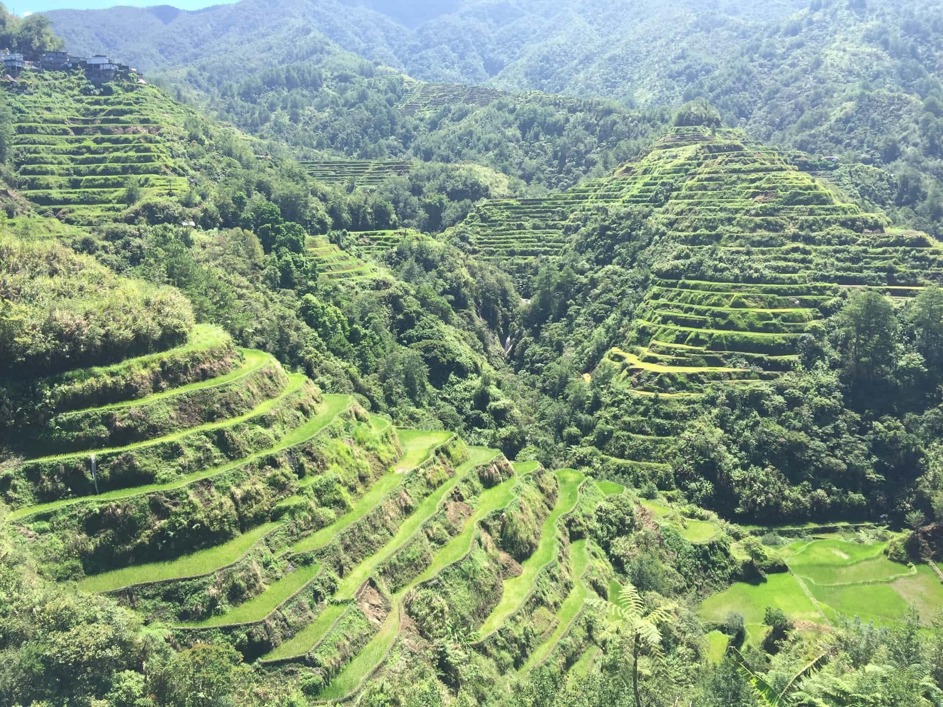 Majestic View Of Banaue Rice Terraces Background