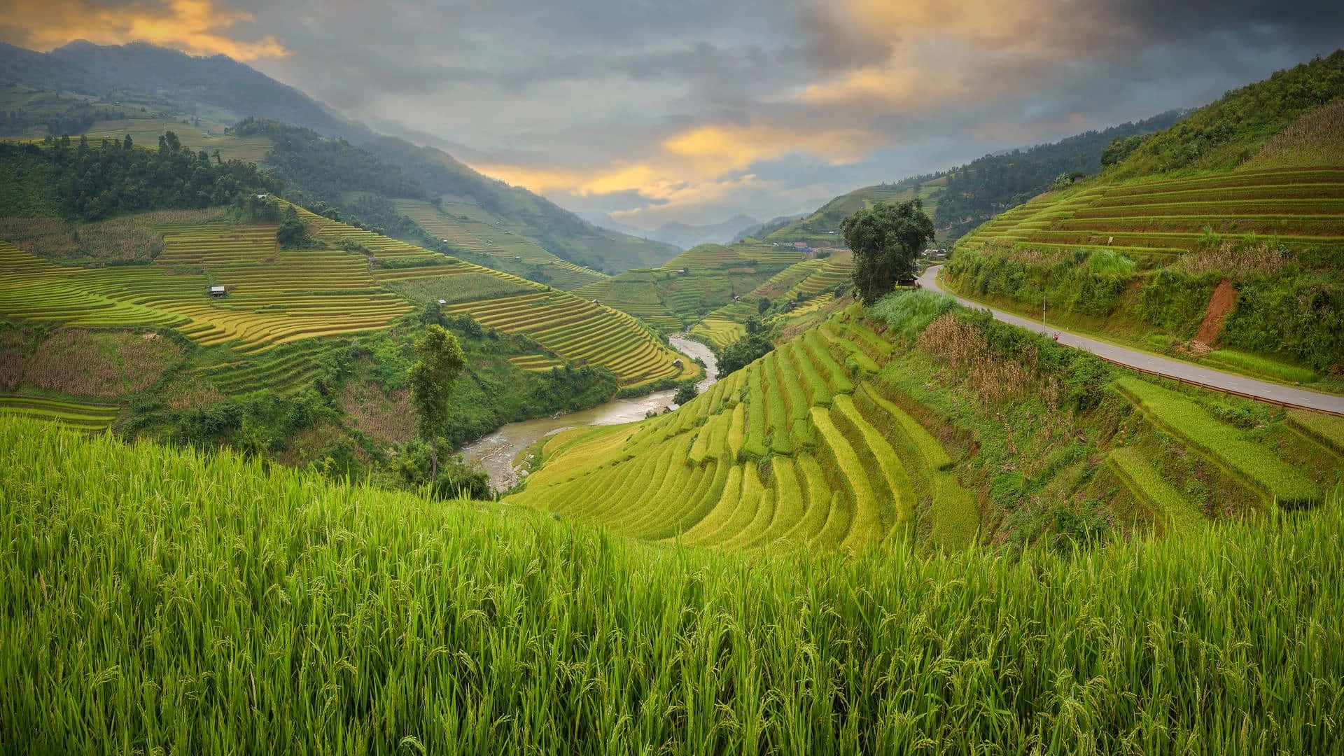 Majestic View Of Banaue Rice Terraces, Philippines Background