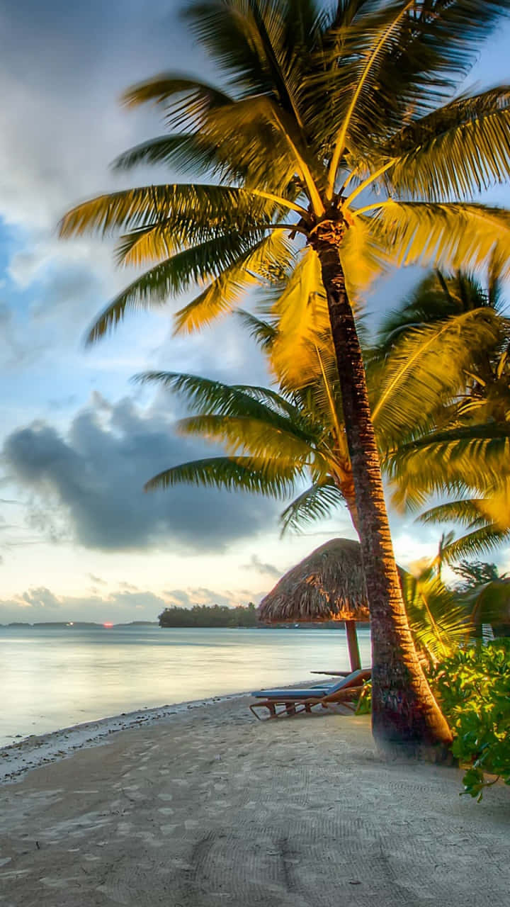 Majestic View Of Bora Bora Island Background