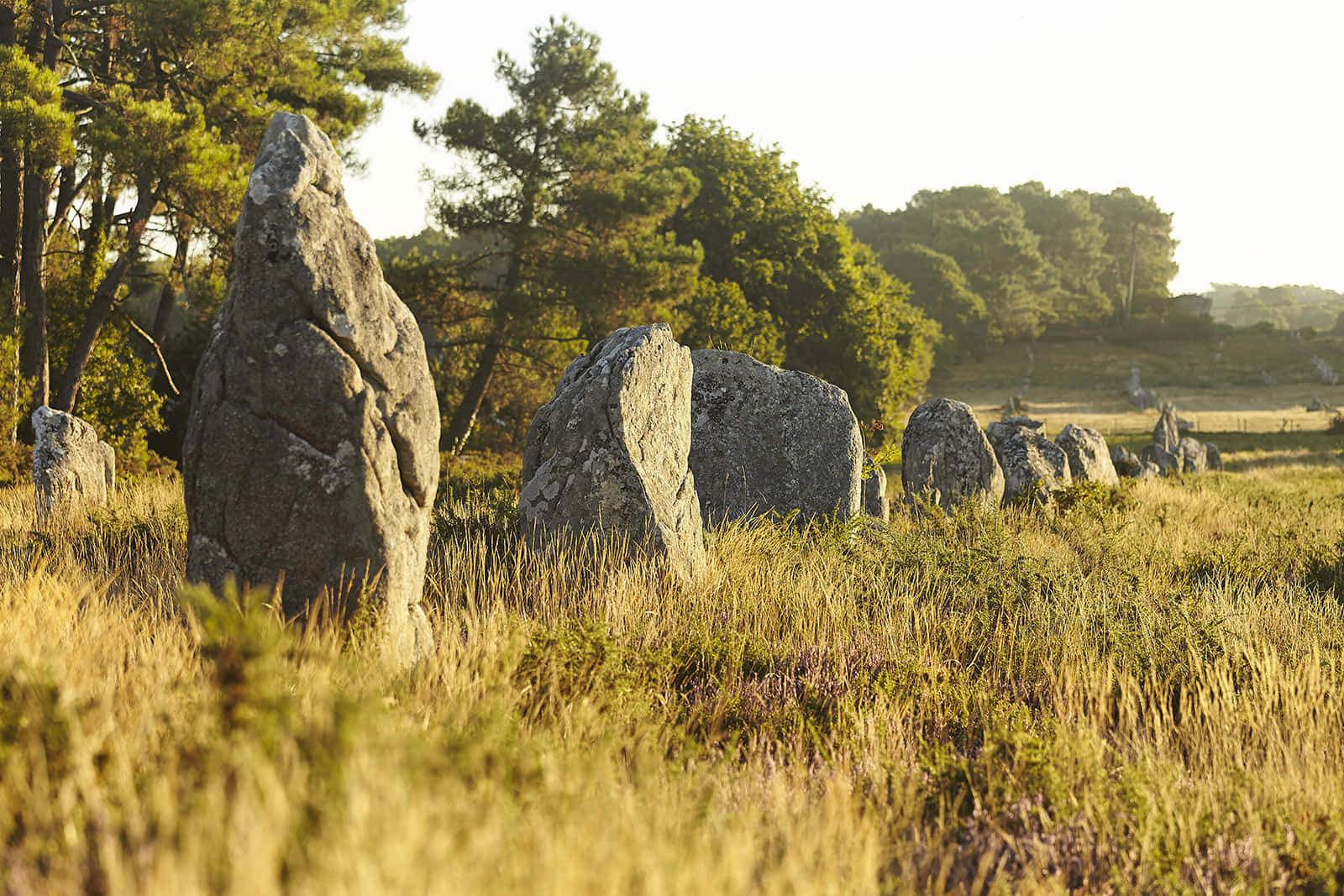 Majestic View Of Carnac Standing Stones Background