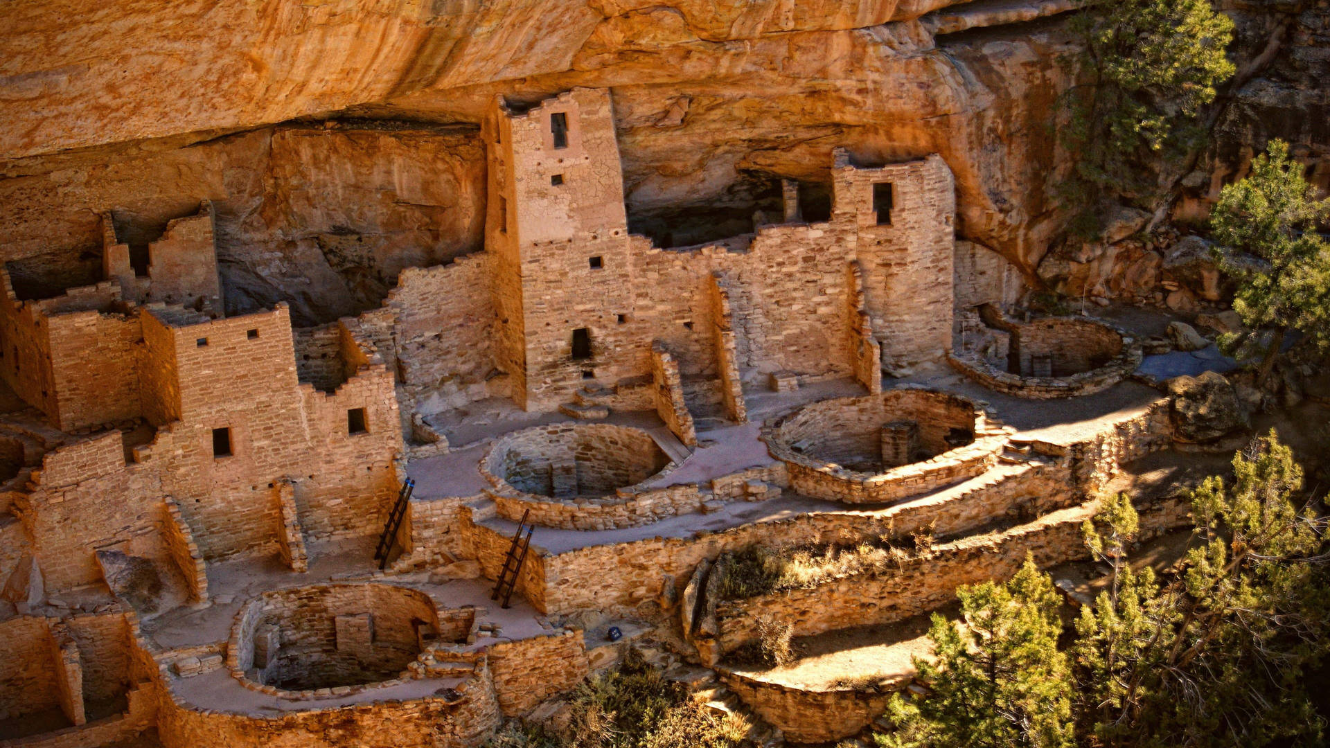 Majestic View Of Cliff Palace In Mesa Verde National Park