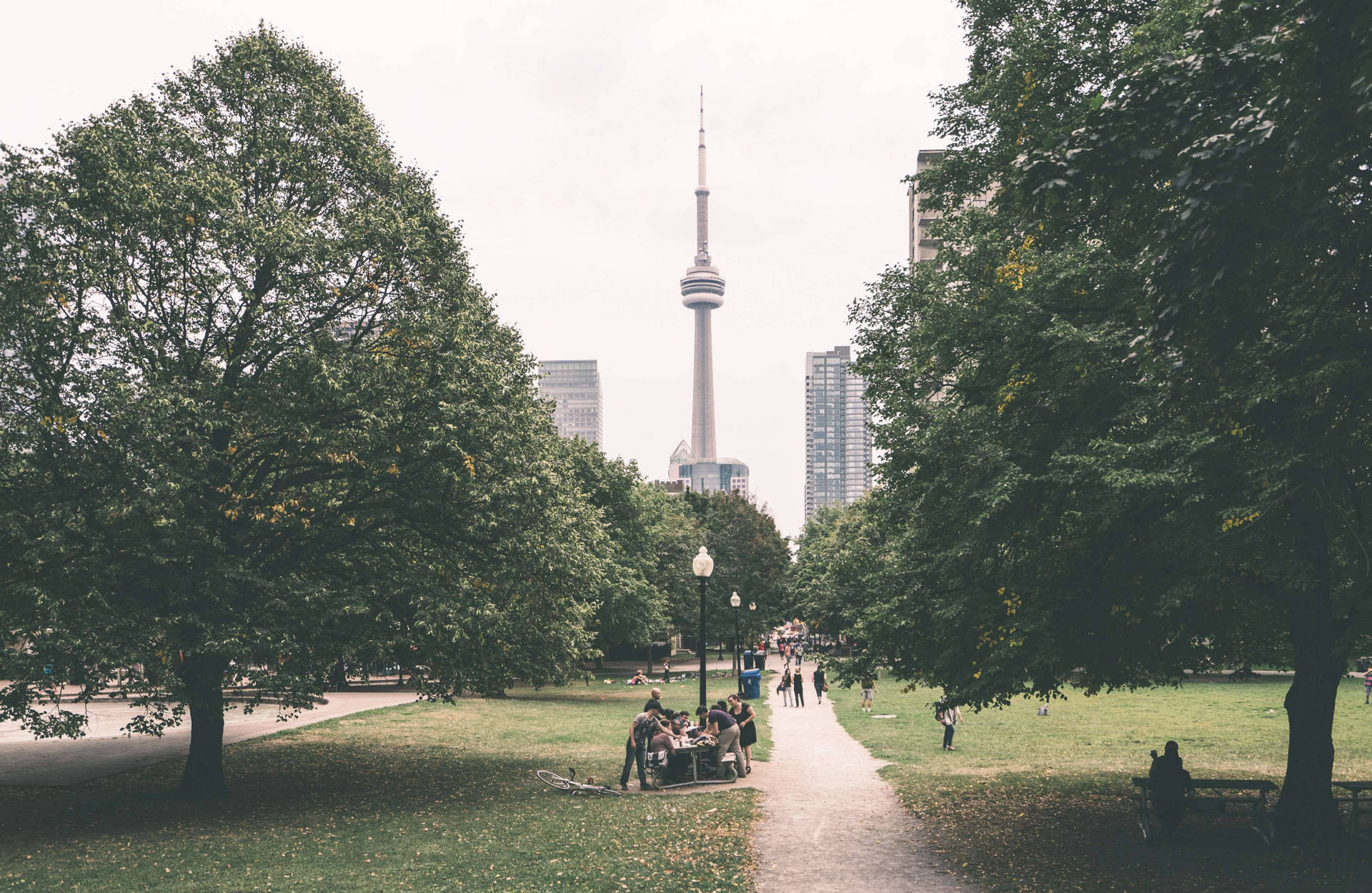 Majestic View Of Cn Tower From High Park