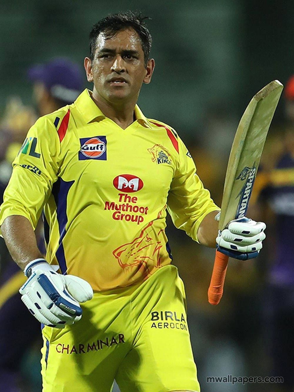 Majestic View Of Cricket Legend Ms Dhoni In Hd Background