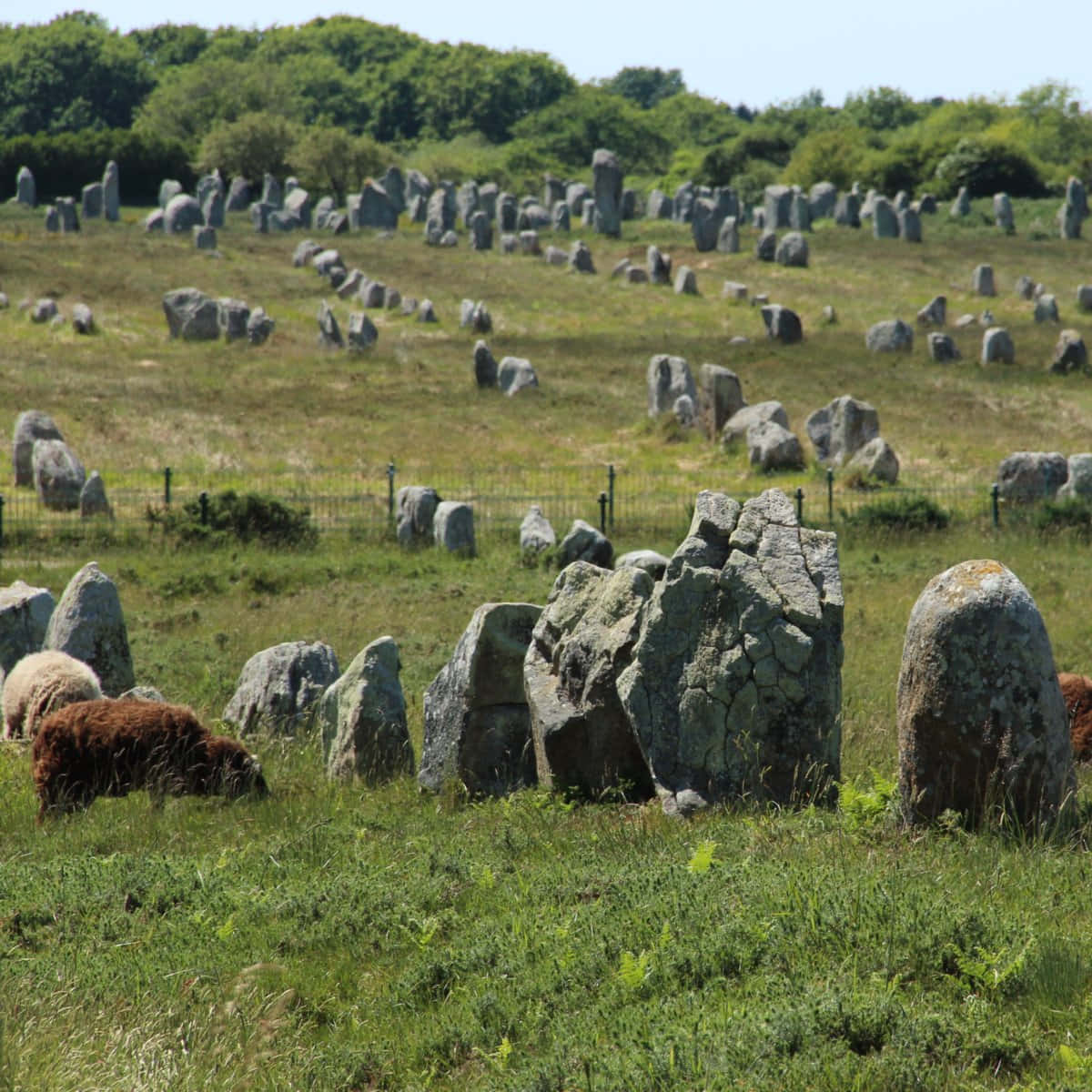 Majestic View Of Megalithic Stones In Carnac, France Background