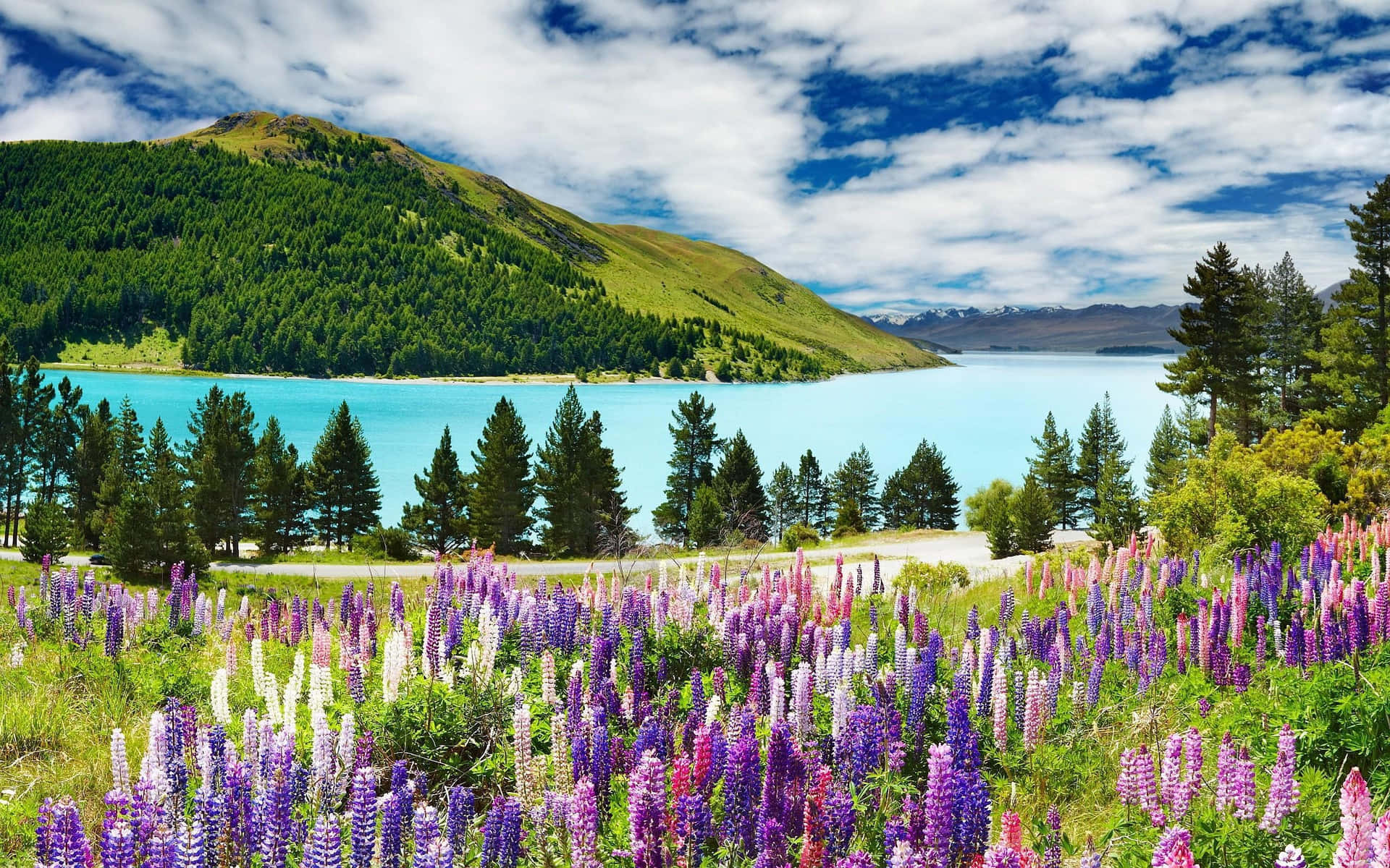Majestic View Of Pristine Scenery In New Zealand