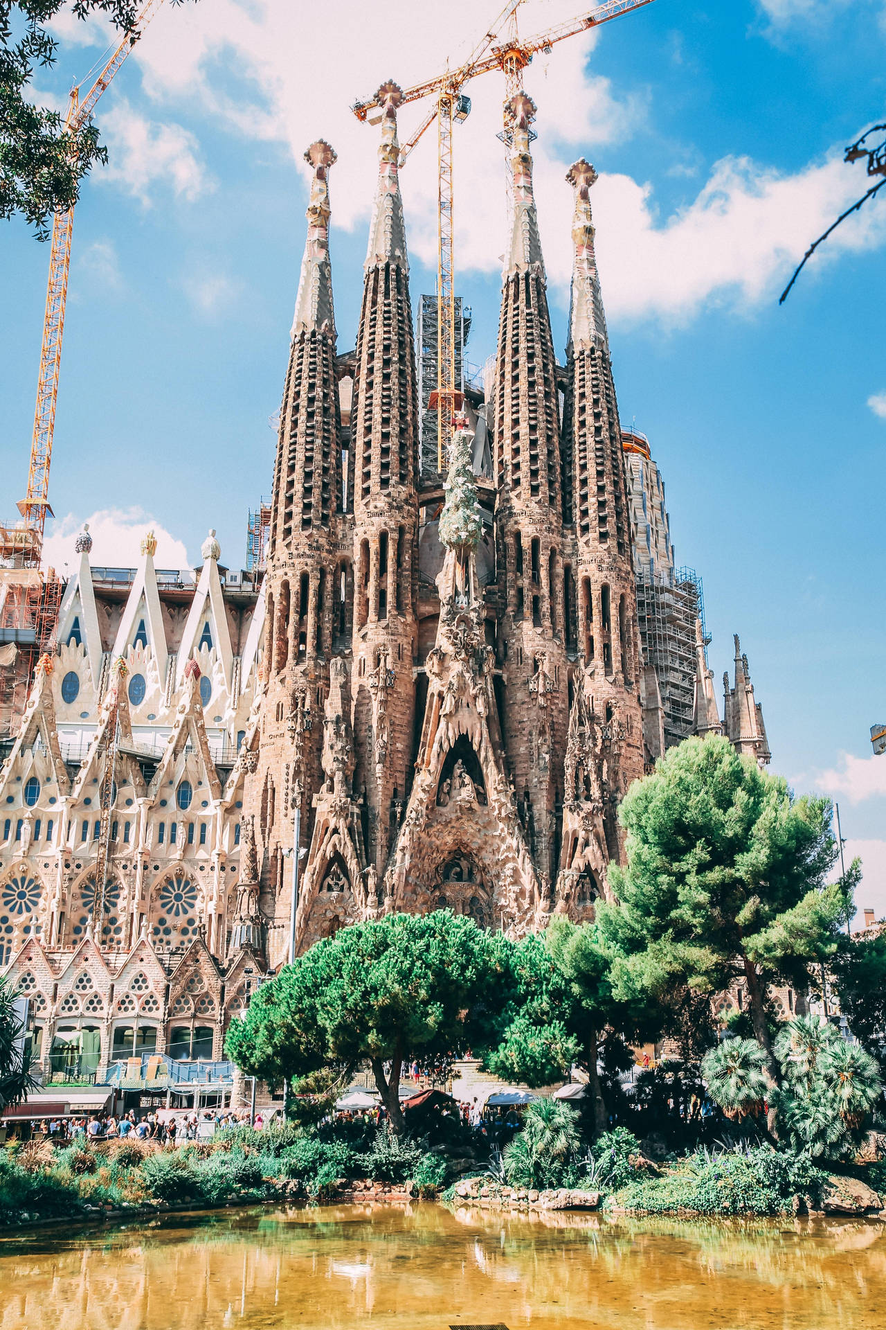 Majestic View Of Sagrada Familia Amidst Lush Green Trees Reflecting On Pond