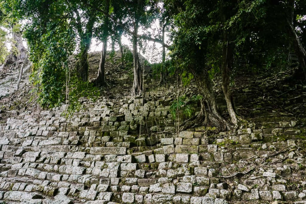 Majestic View Of The Ancient Mayan Ruins Of Copan Background