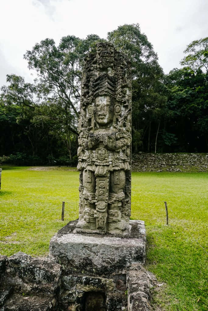 Majestic View Of The Ancient Mayan Ruins Of Copan Background