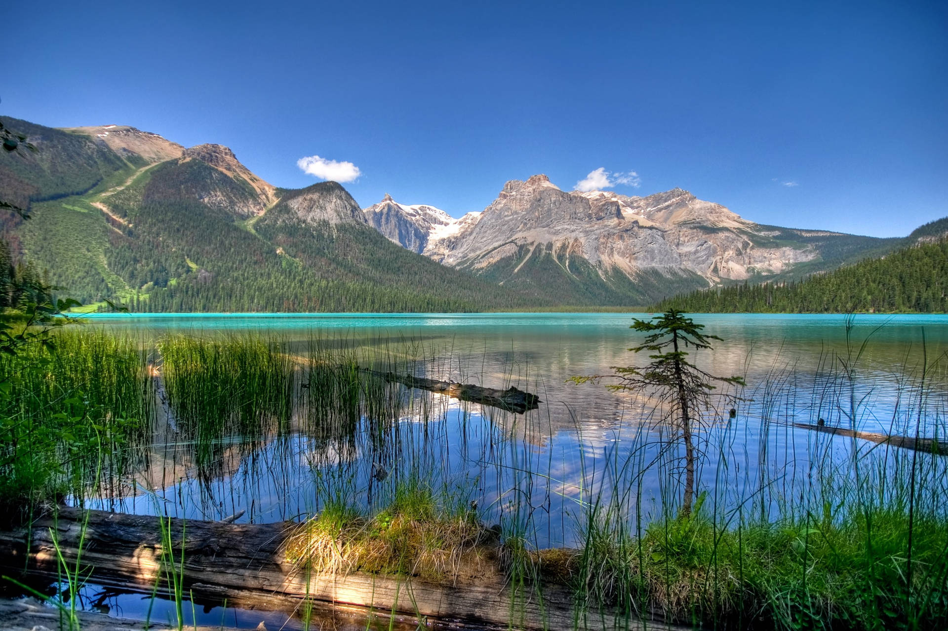 Majestic View Of The Emerald Green Lake Background