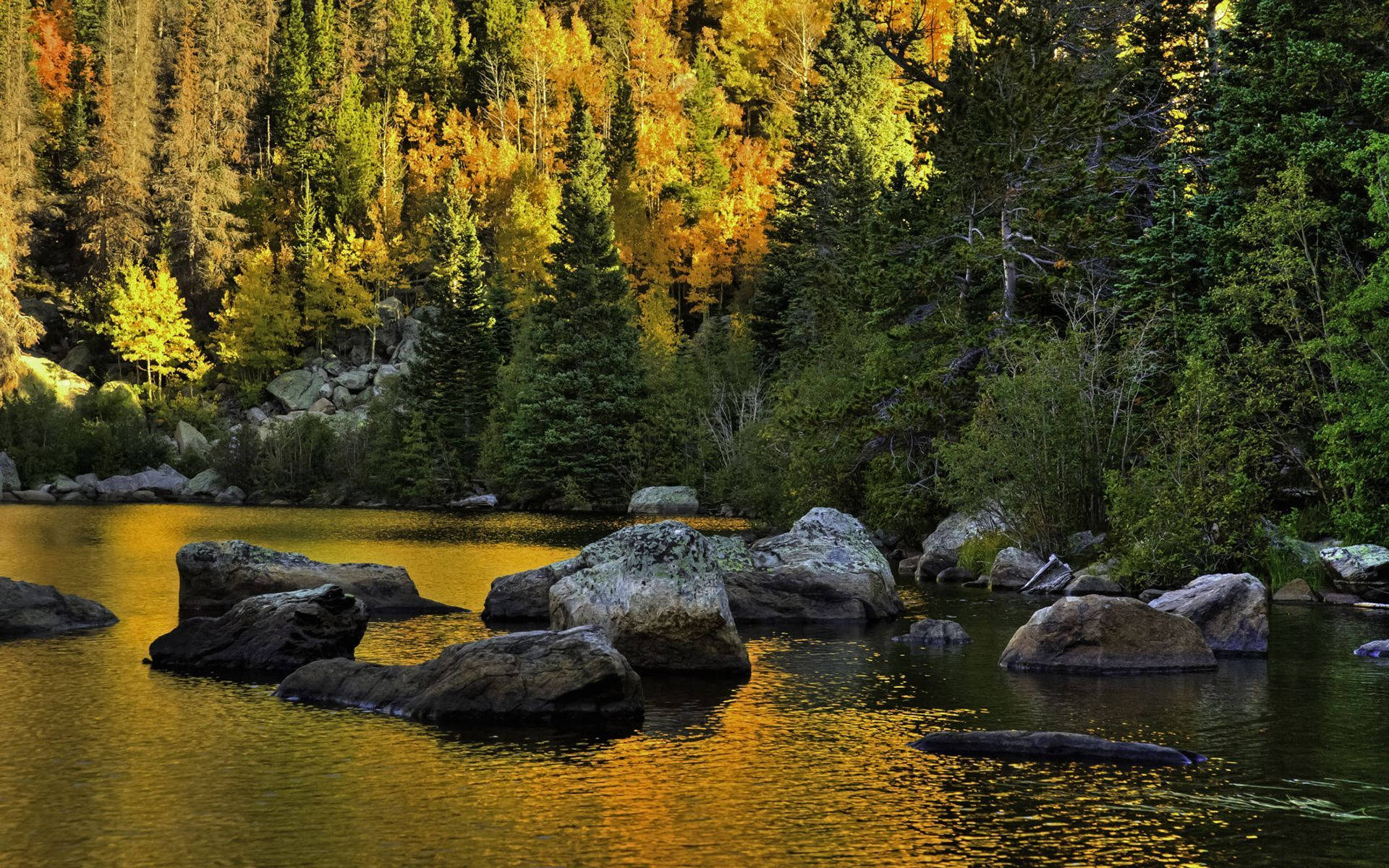 Majestic View Of The Rocky Mountain National Park