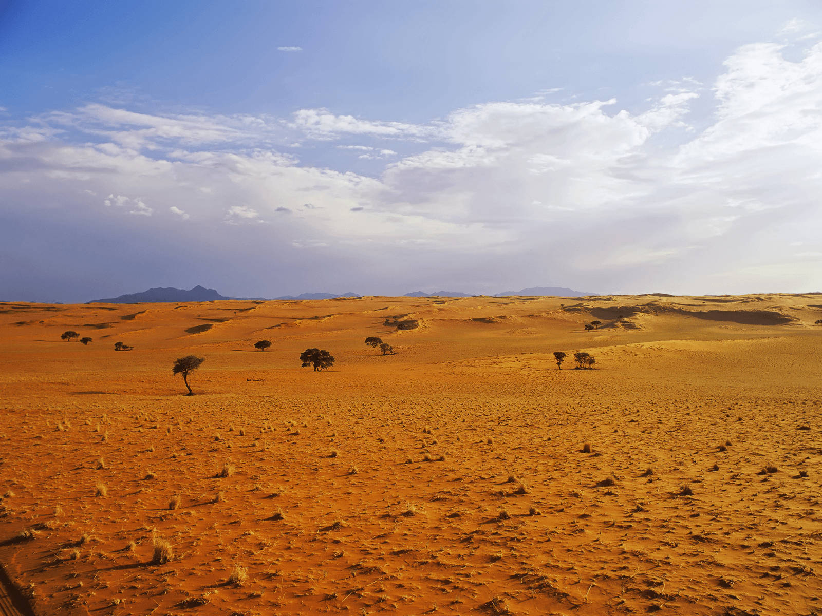 Majestic View Of Ur, Al-hajarah Background