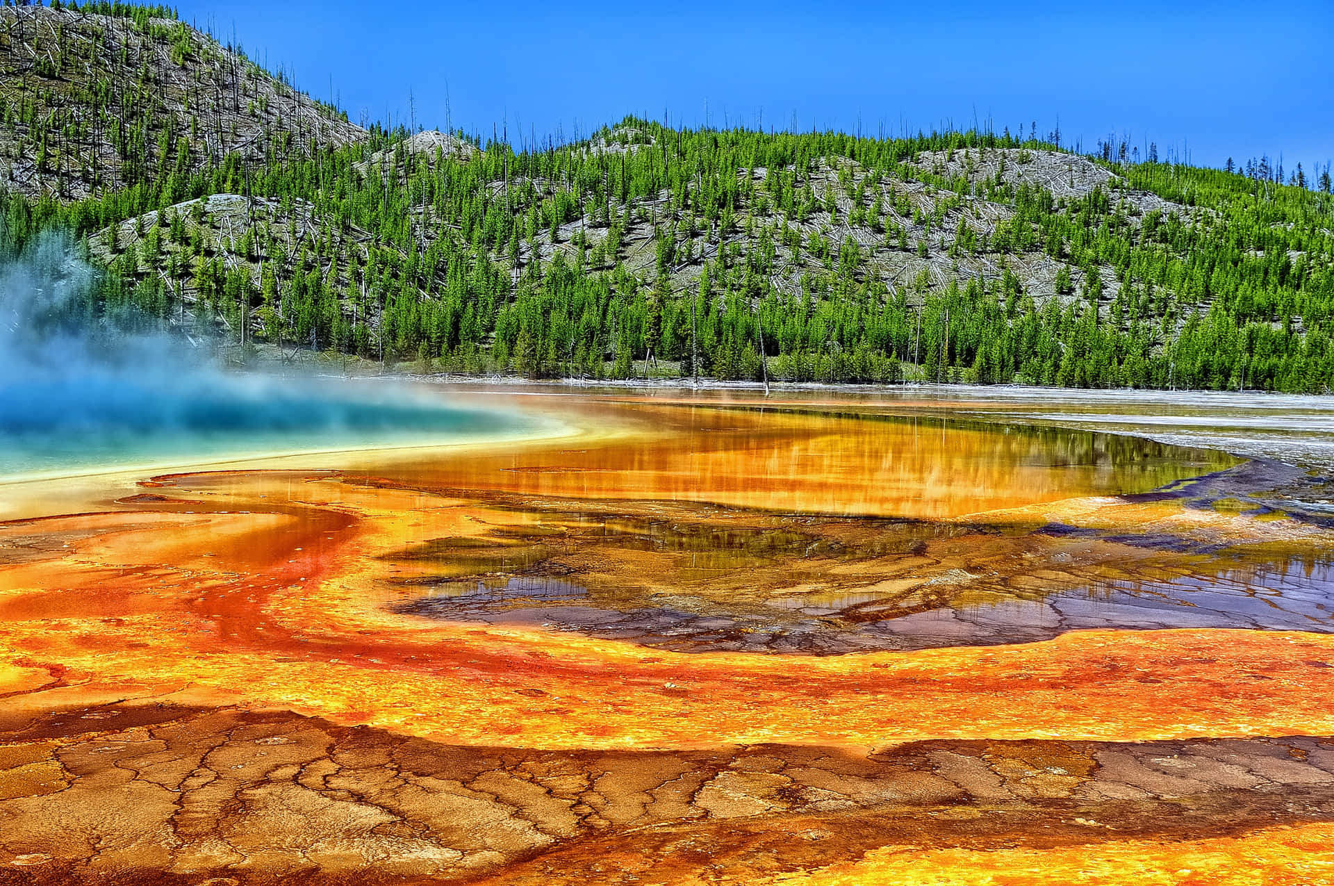 Majestic Views Of Yellowstone National Park