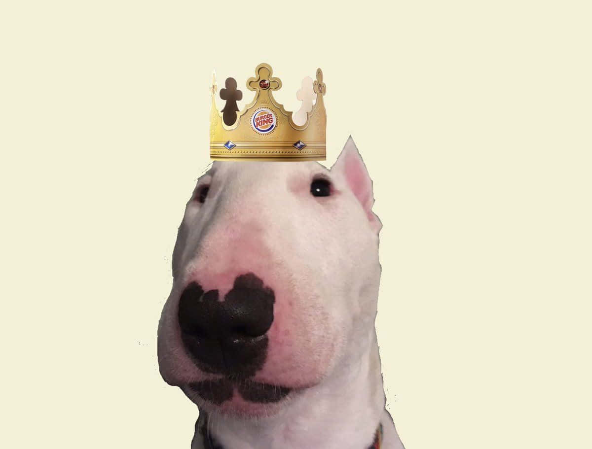 Majestic Walter The Dog Donning A Royal Crown Background