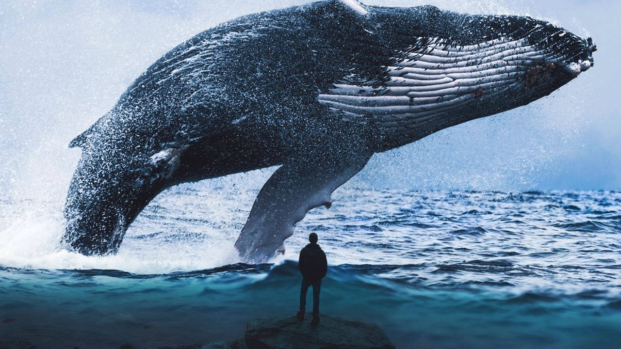 Majestic Whale In Deep Blue Ocean Background