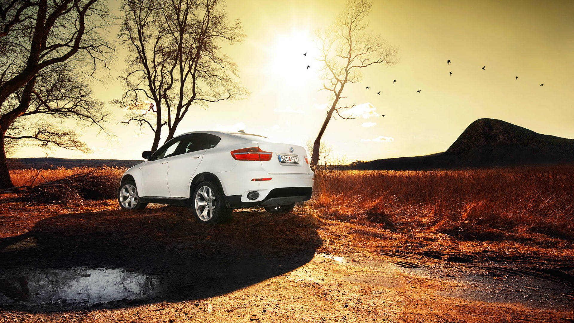 Majestic White Bmw X6 M Basking In The Golden Sunset