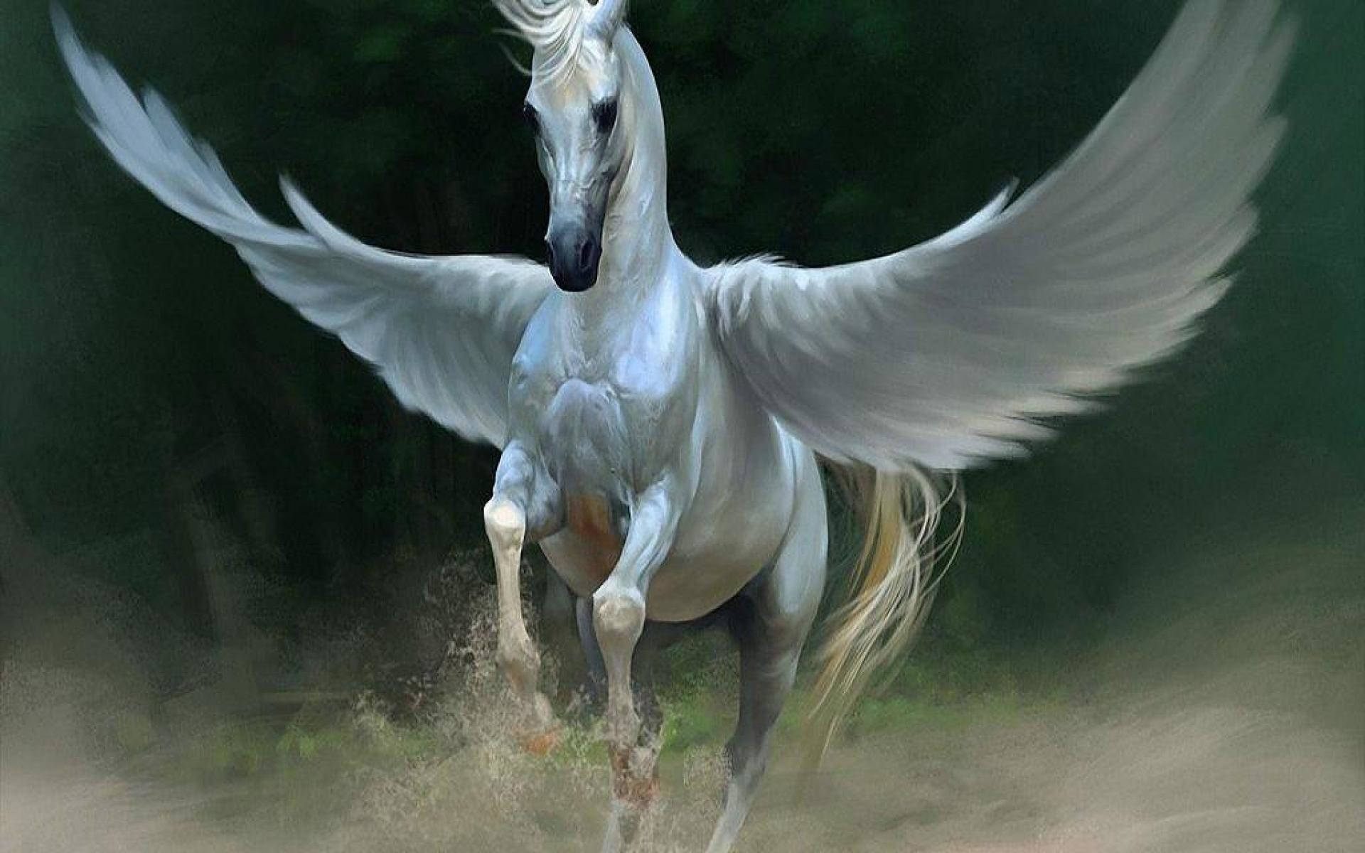 Majestic White Horse With Wings Background