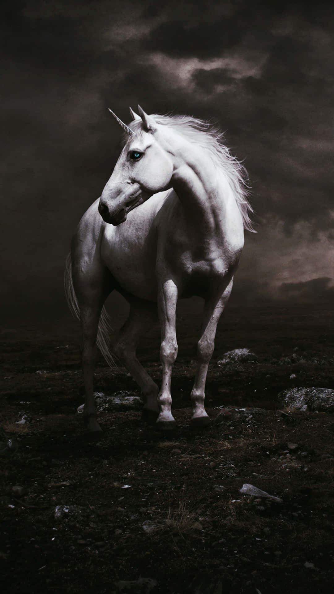 Majestic_ White_ Unicorn_ Dark_ Sky