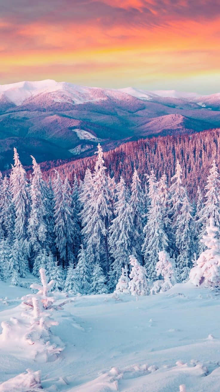 Majestic Winter Landscape Background