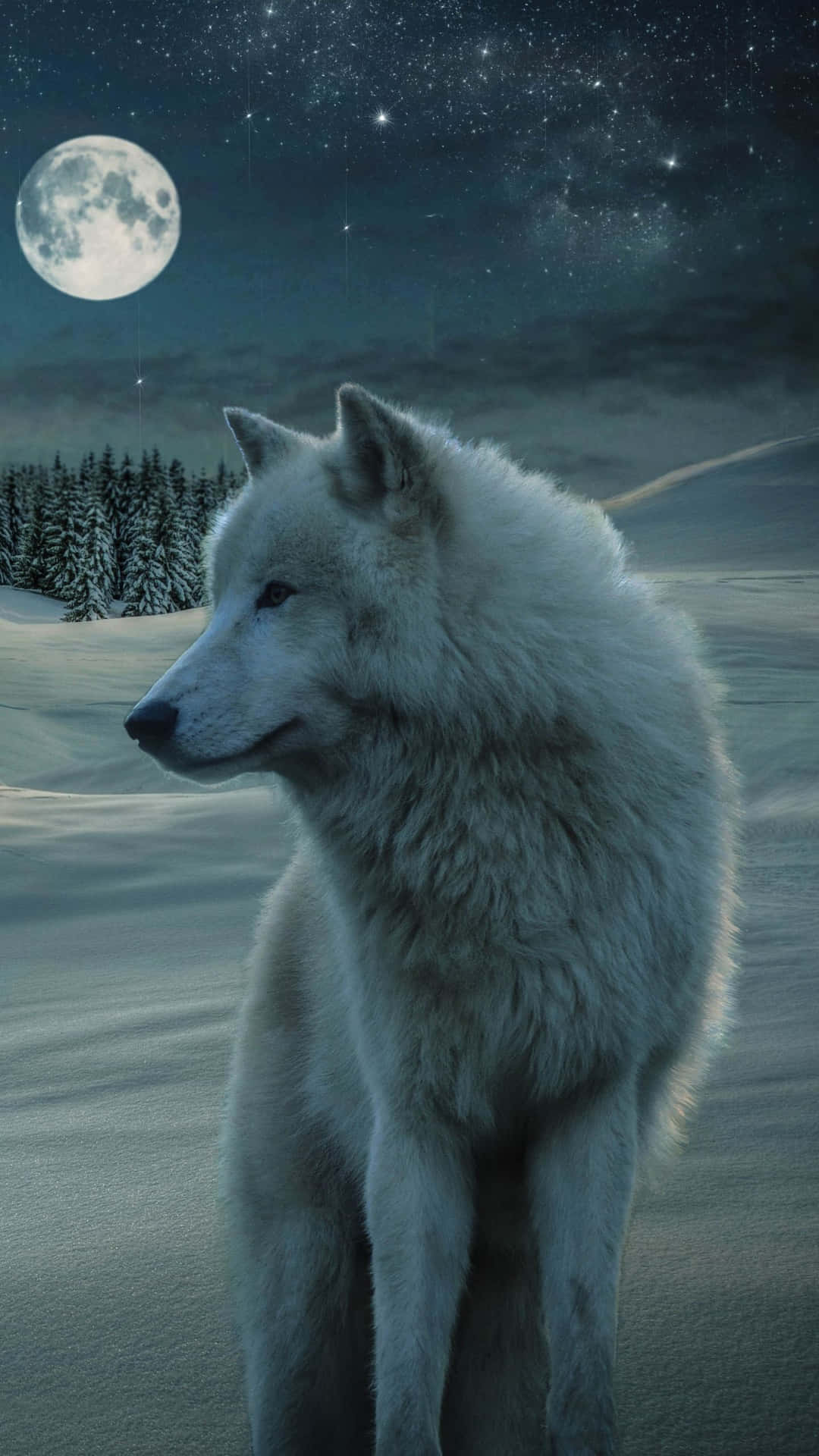 Majestic Wolf In Grayscale