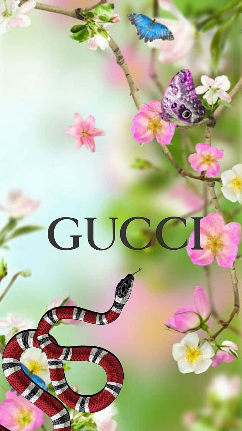 Make A Bold Statement With This Gucci Green Colour Background