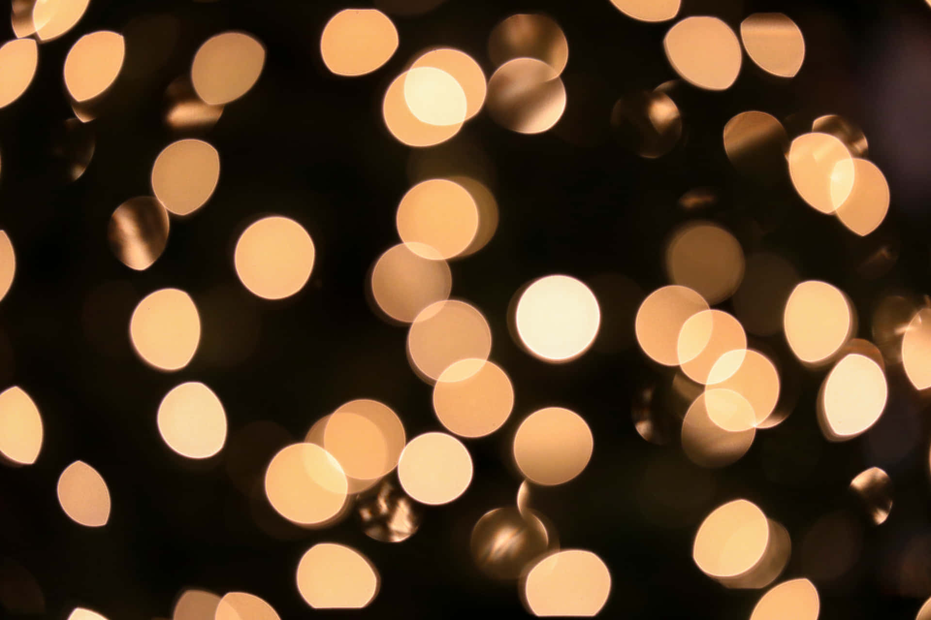 Make Christmas Brighter With These Beautiful Lights! Background
