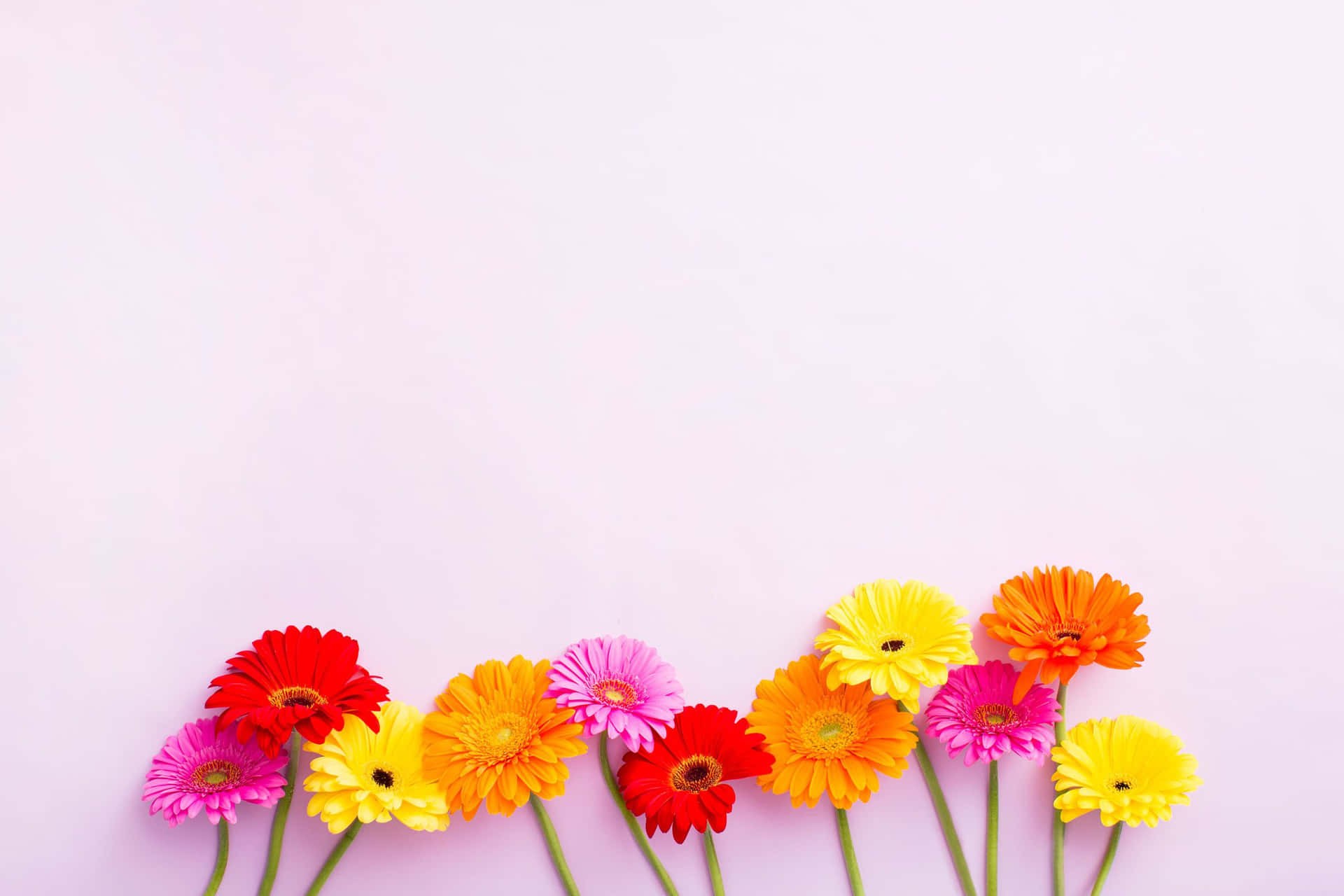 Make Technology Floral Background