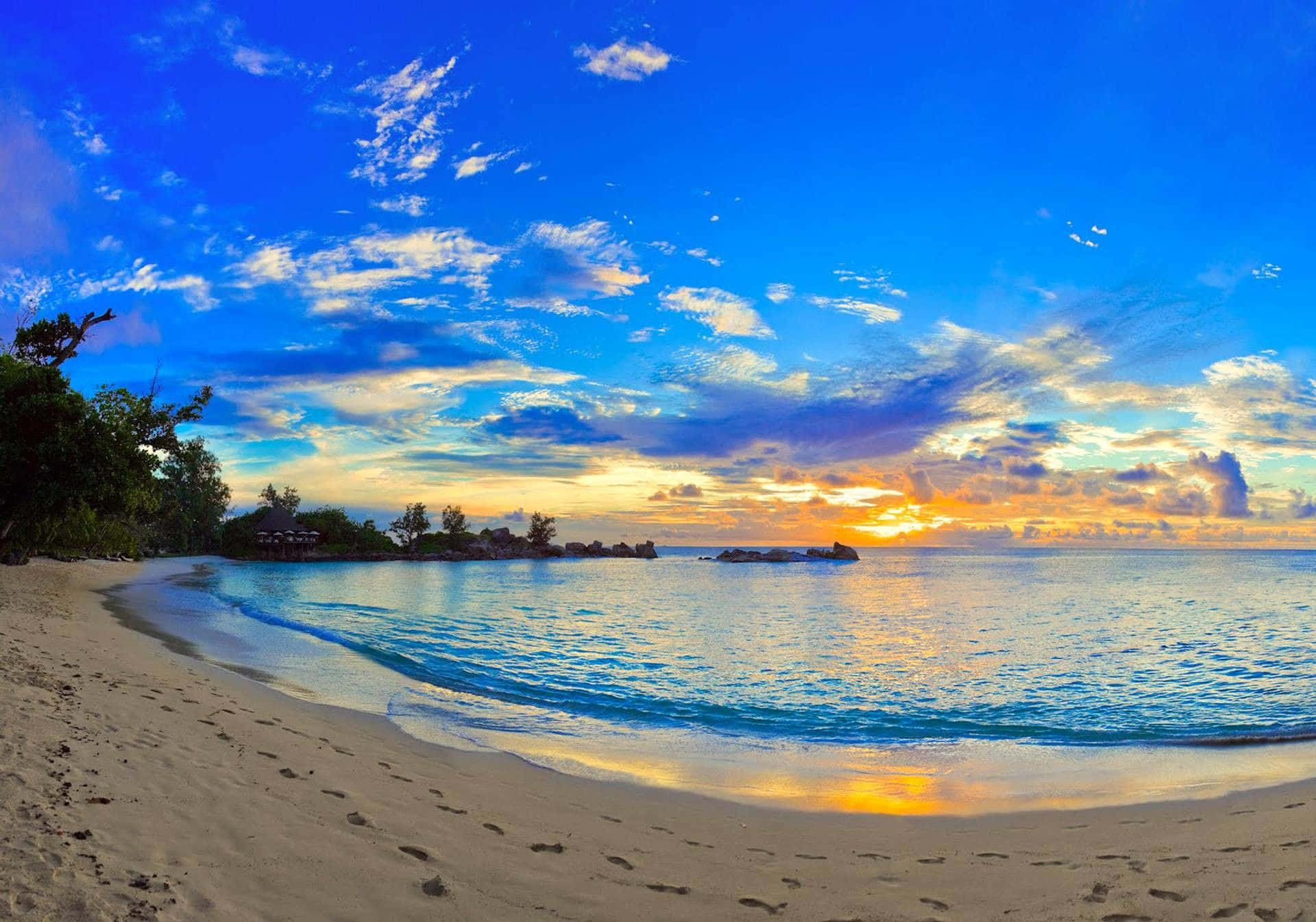 Make The Most Of The Summer And Enjoy The Beauty Of A Beach Day Background