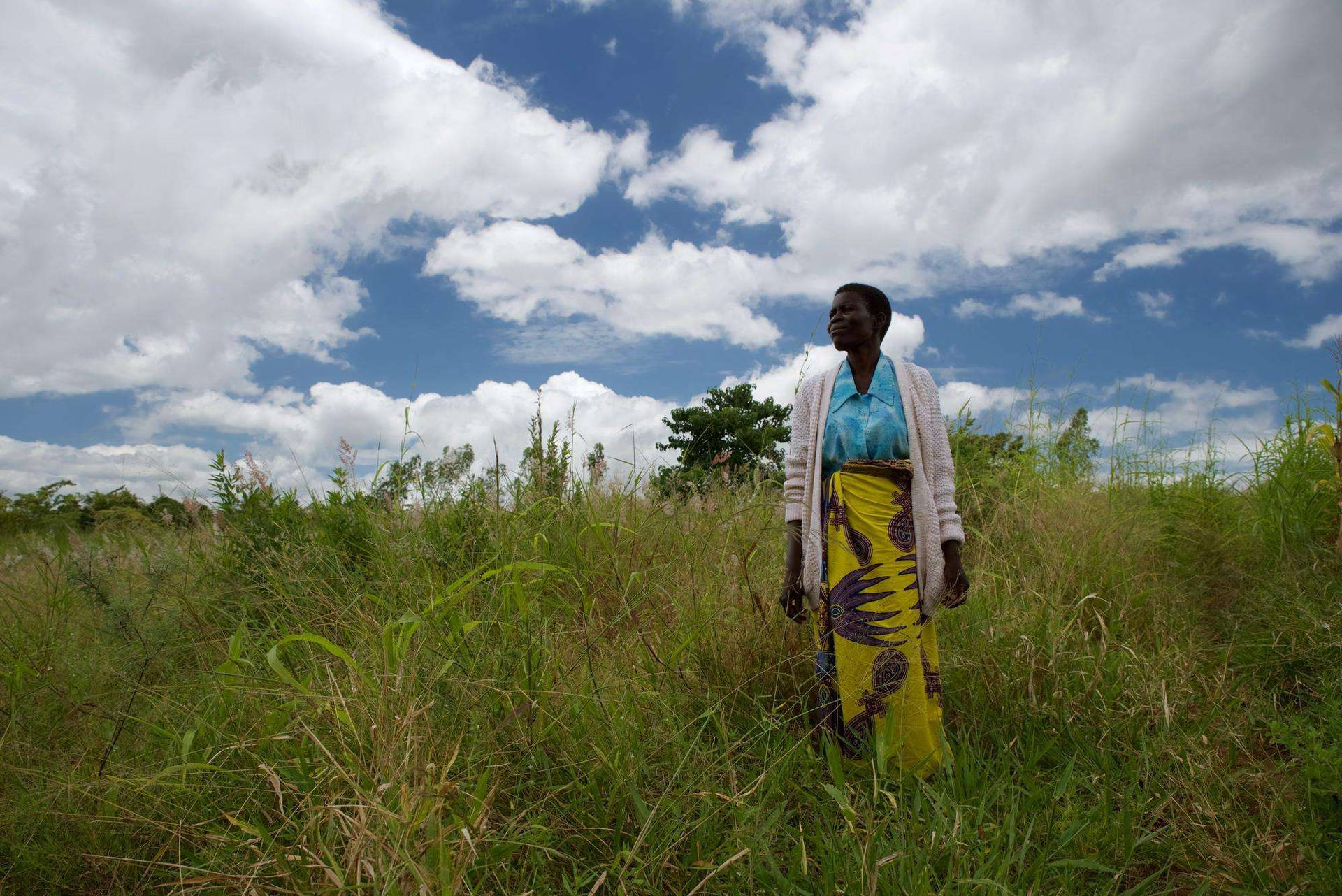 Malawi Cloudy Sky Grass Field Background