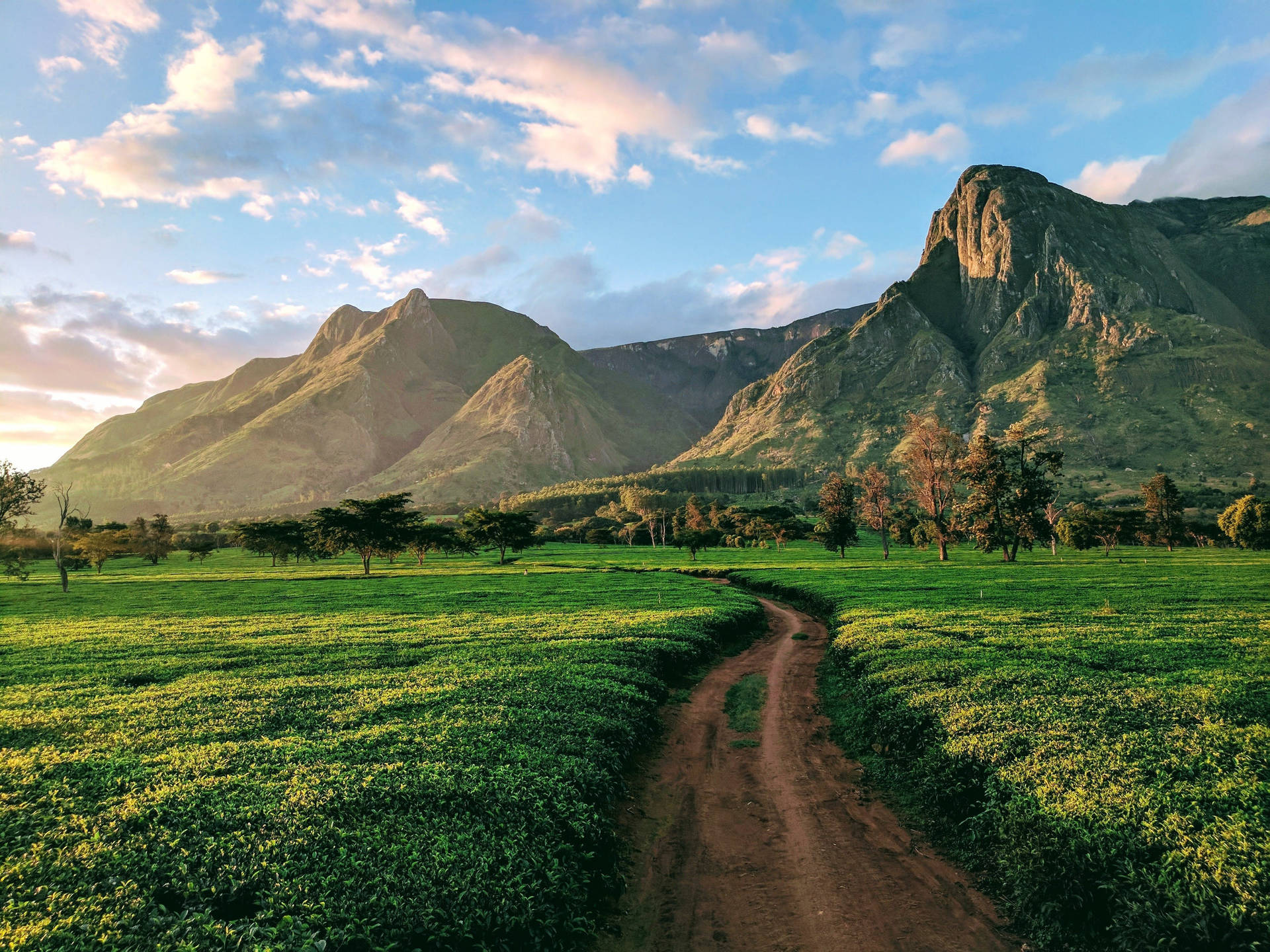 Malawi Dirt Road To Mountain Background