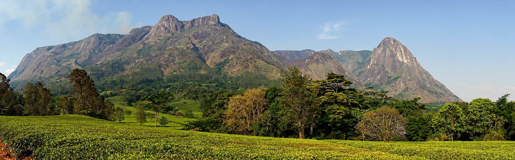 Malawi Rocky Mountain Trees Background