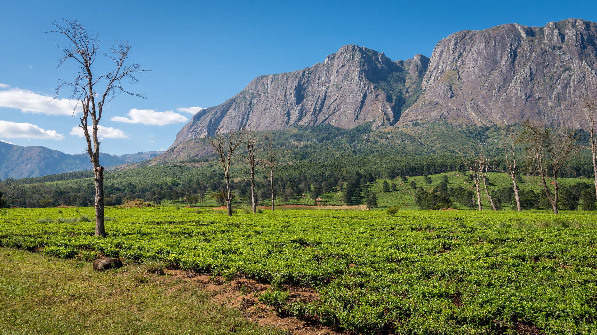 Malawi Rocky Plateaus Background